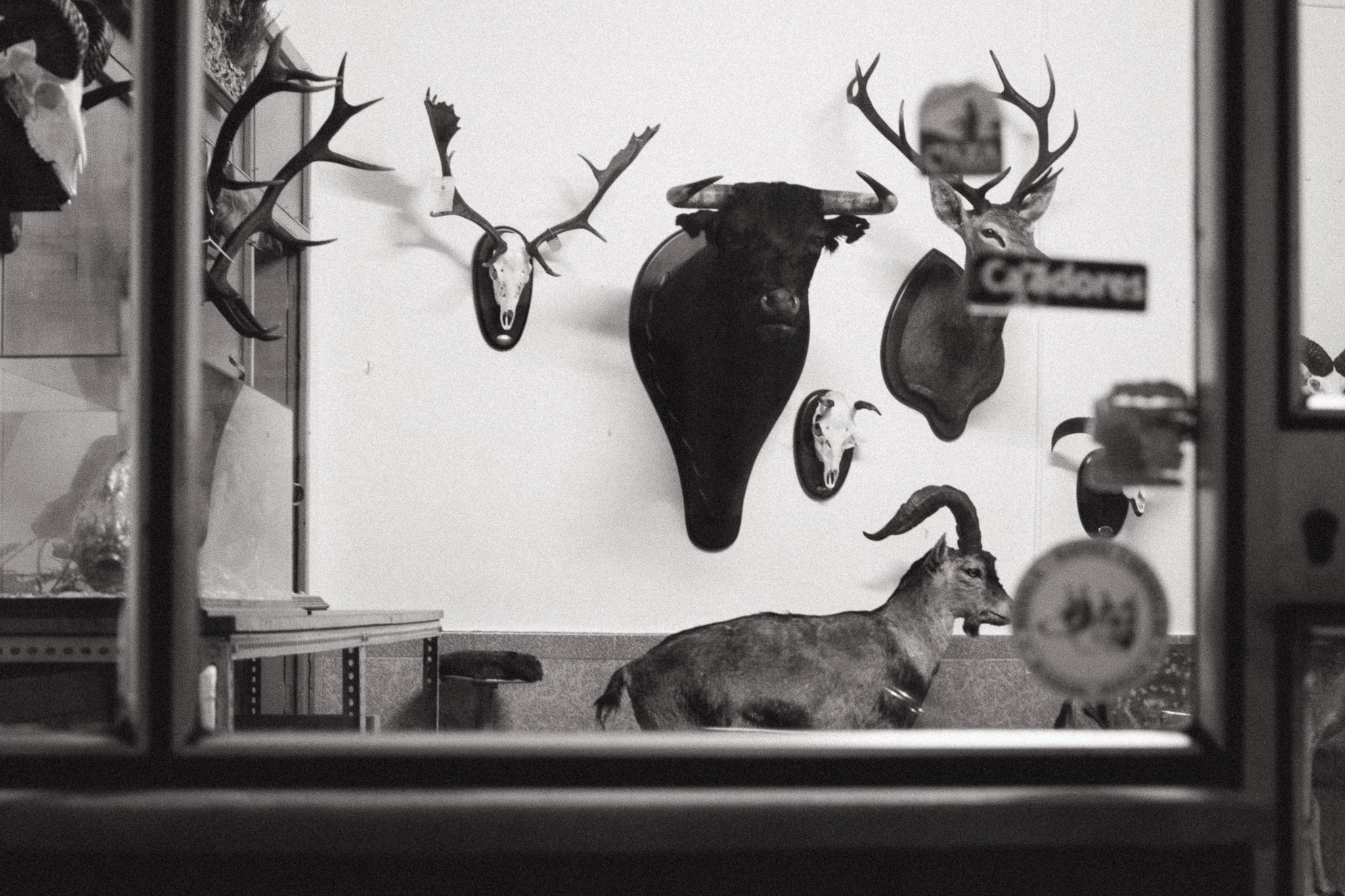 Nocturnal. FotoZine vol6