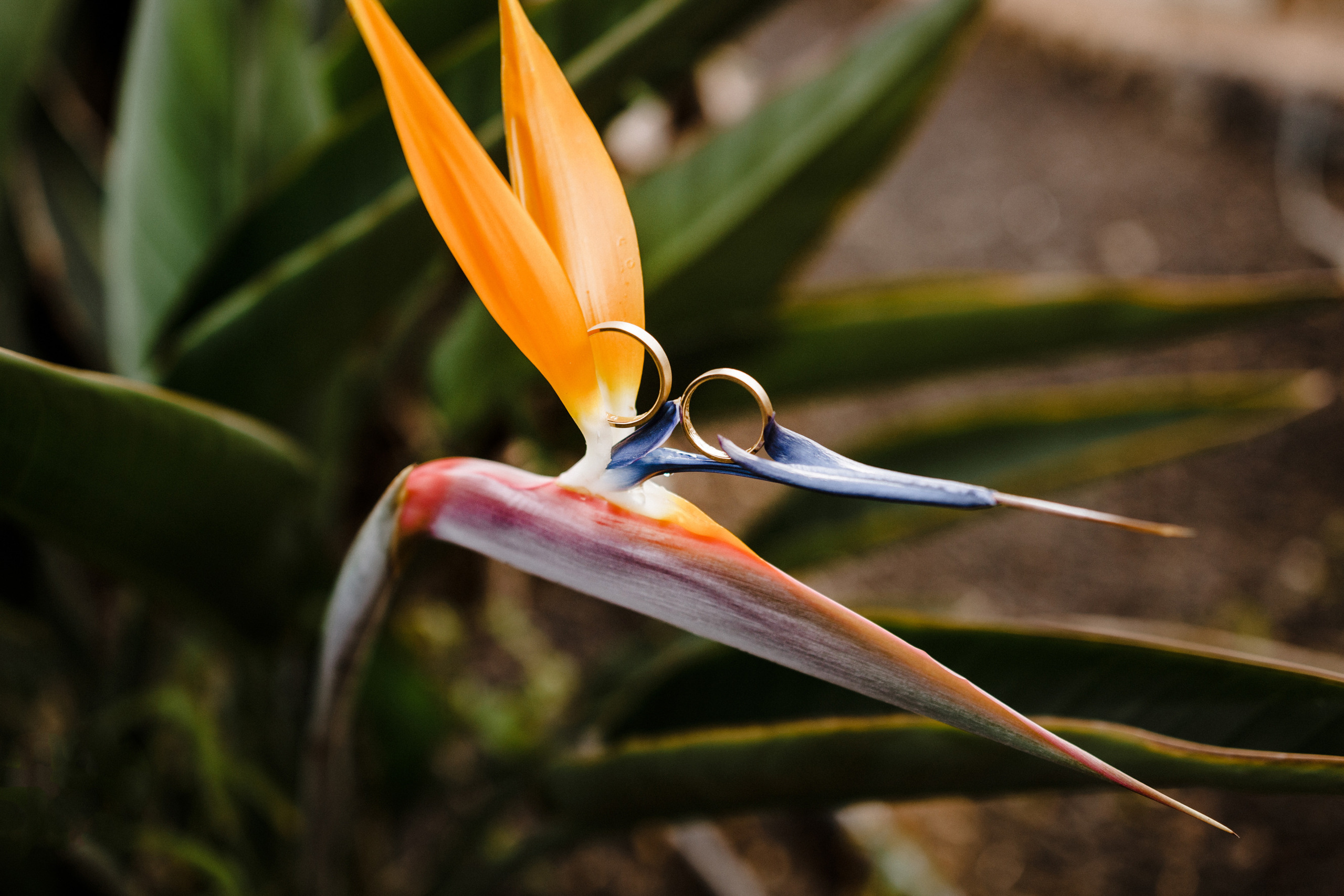 Agris & Maria. Фотограф Тенерифе Эдгар Зубарев