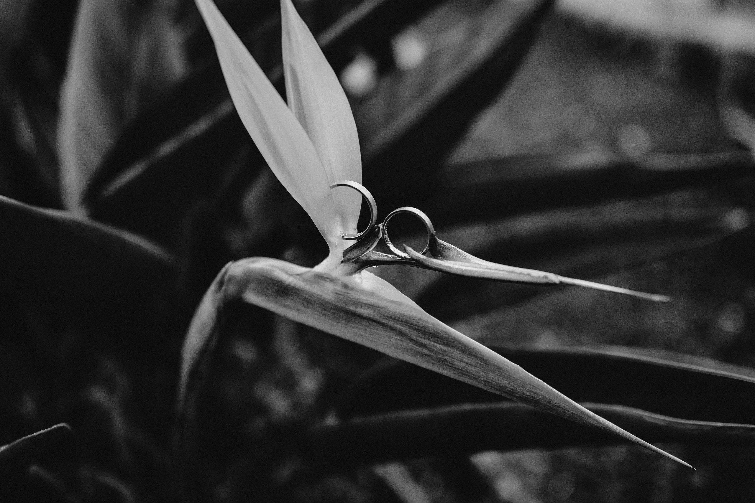 Black & White. Fotógrafo en Tenerife Edgar Zubarev