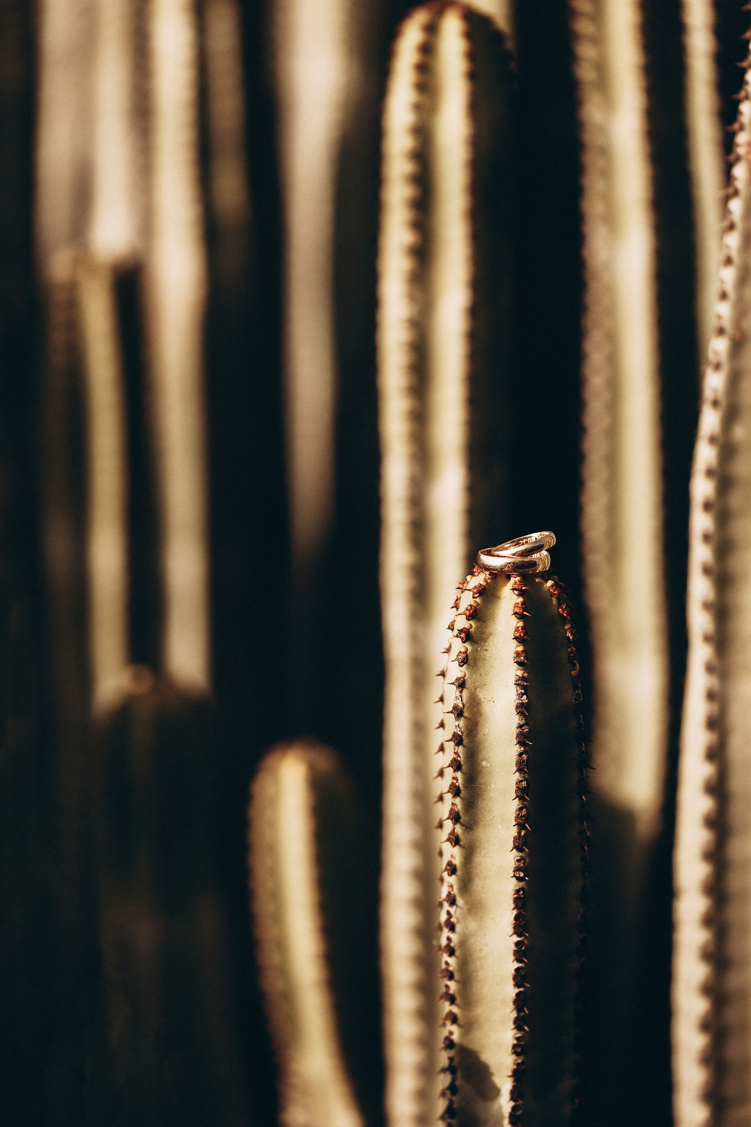 Ksenia & Cezary. Fotógrafo en Tenerife Edgar Zubarev