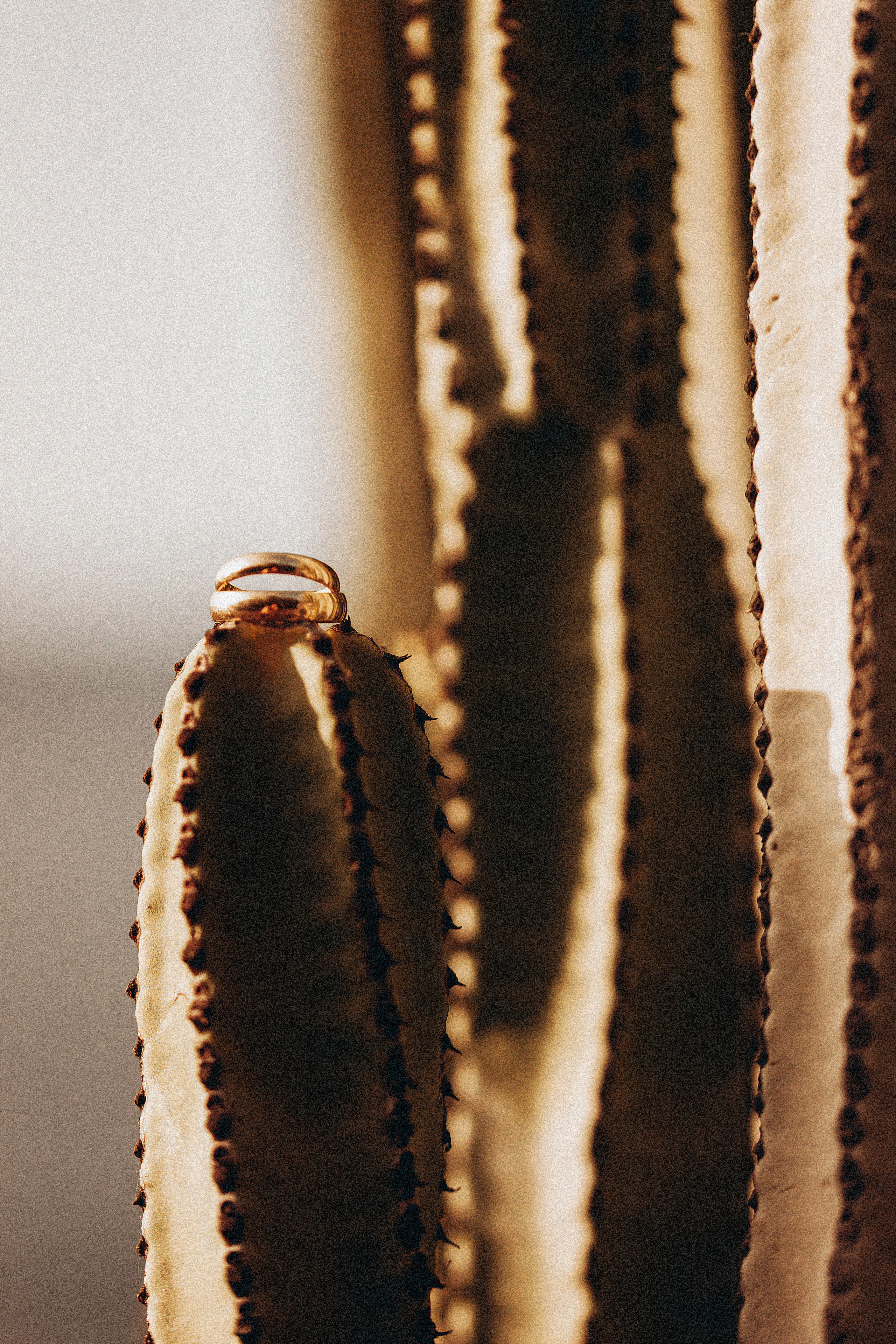 Ksenia & Cezary. Fotógrafo en Tenerife Edgar Zubarev