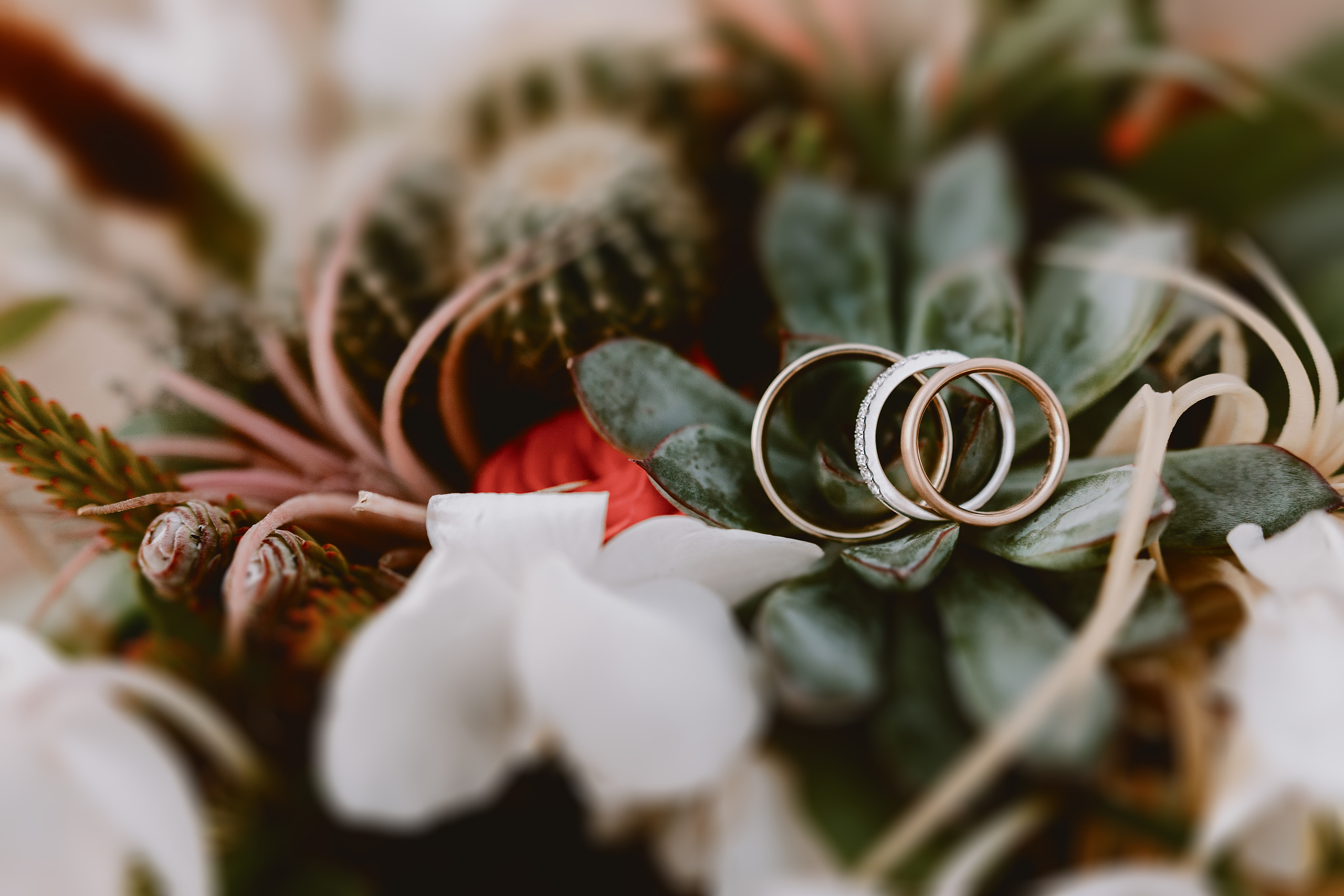 George & Kirana. Фотограф Тенерифе Эдгар Зубарев