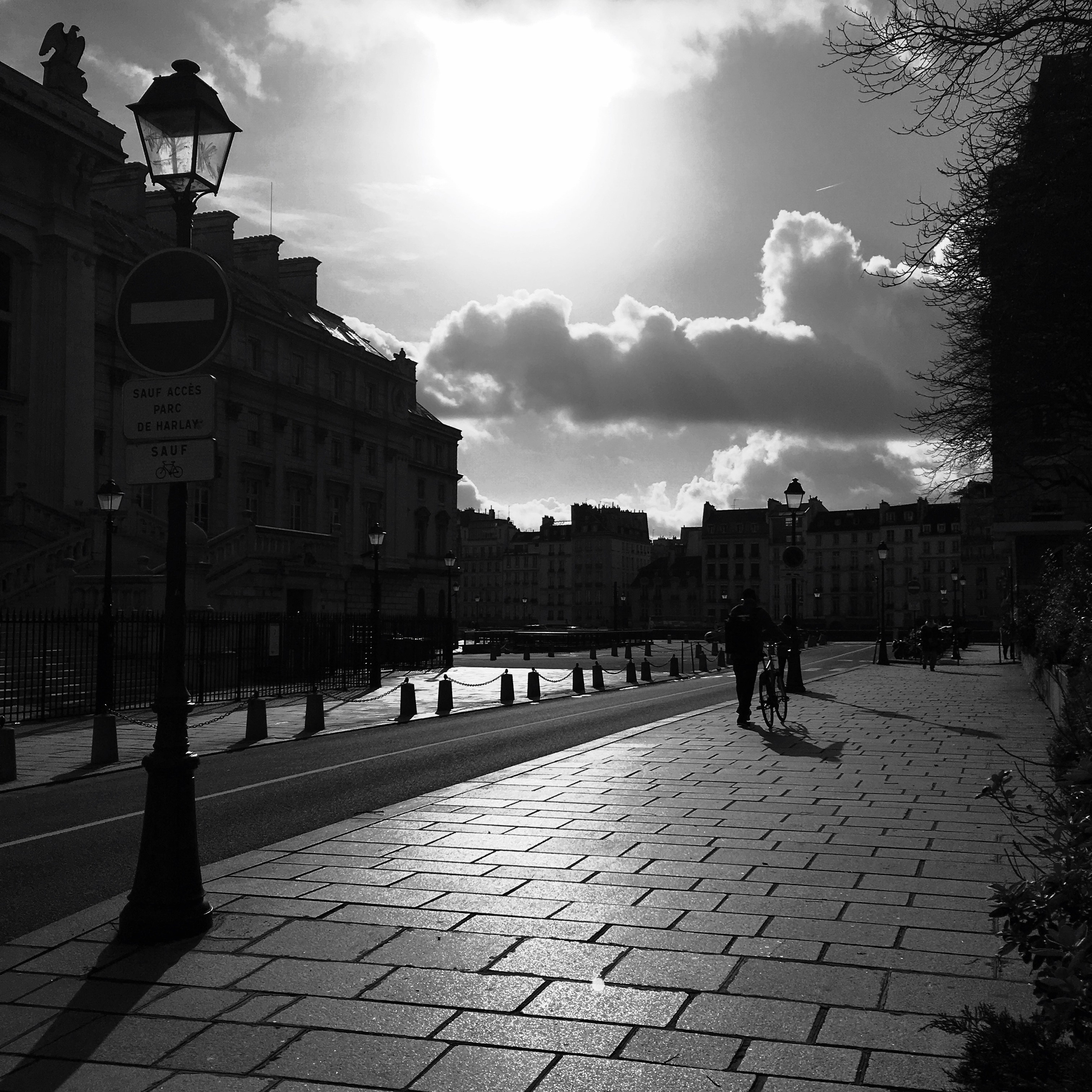 Singles. BNW Around Photography