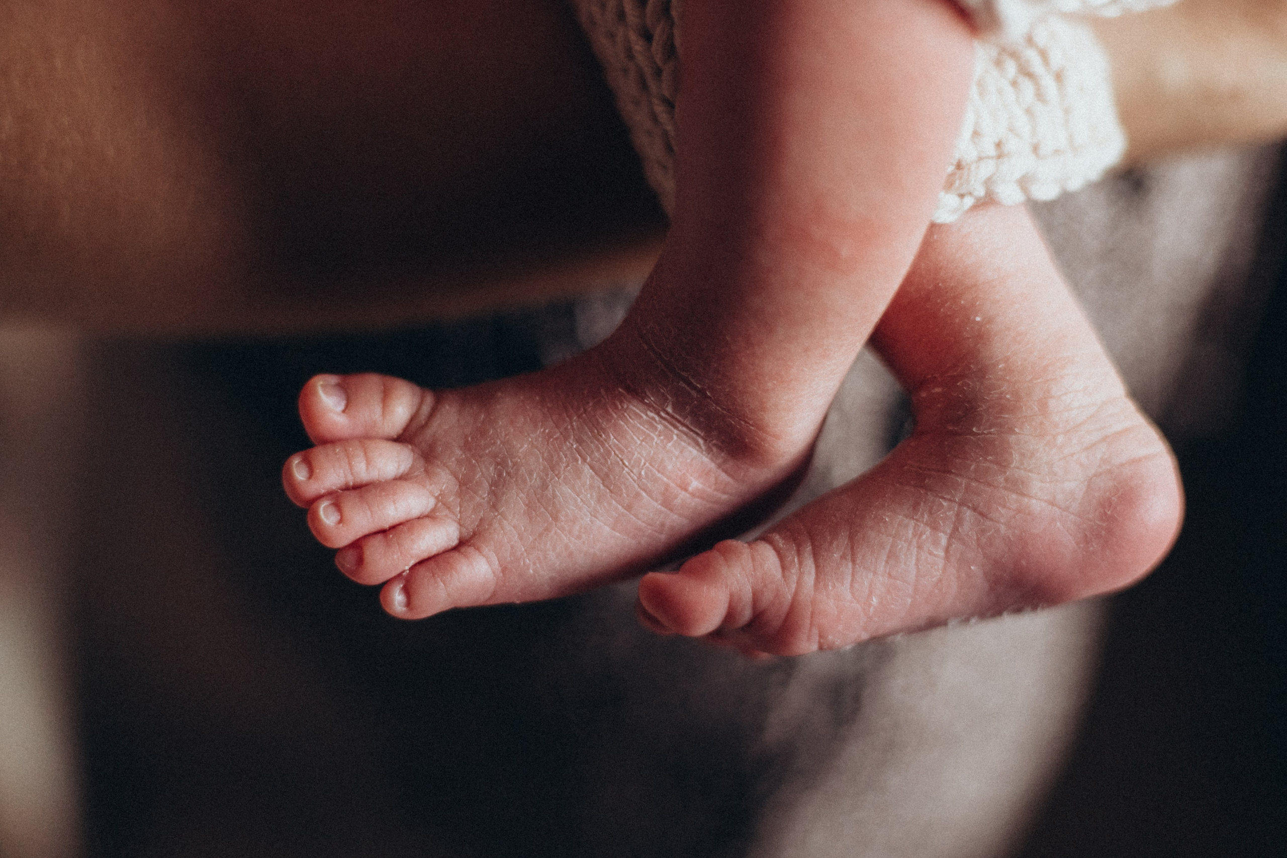 Family. Portrait and family photographer in Fort Collins Dania Gaisina