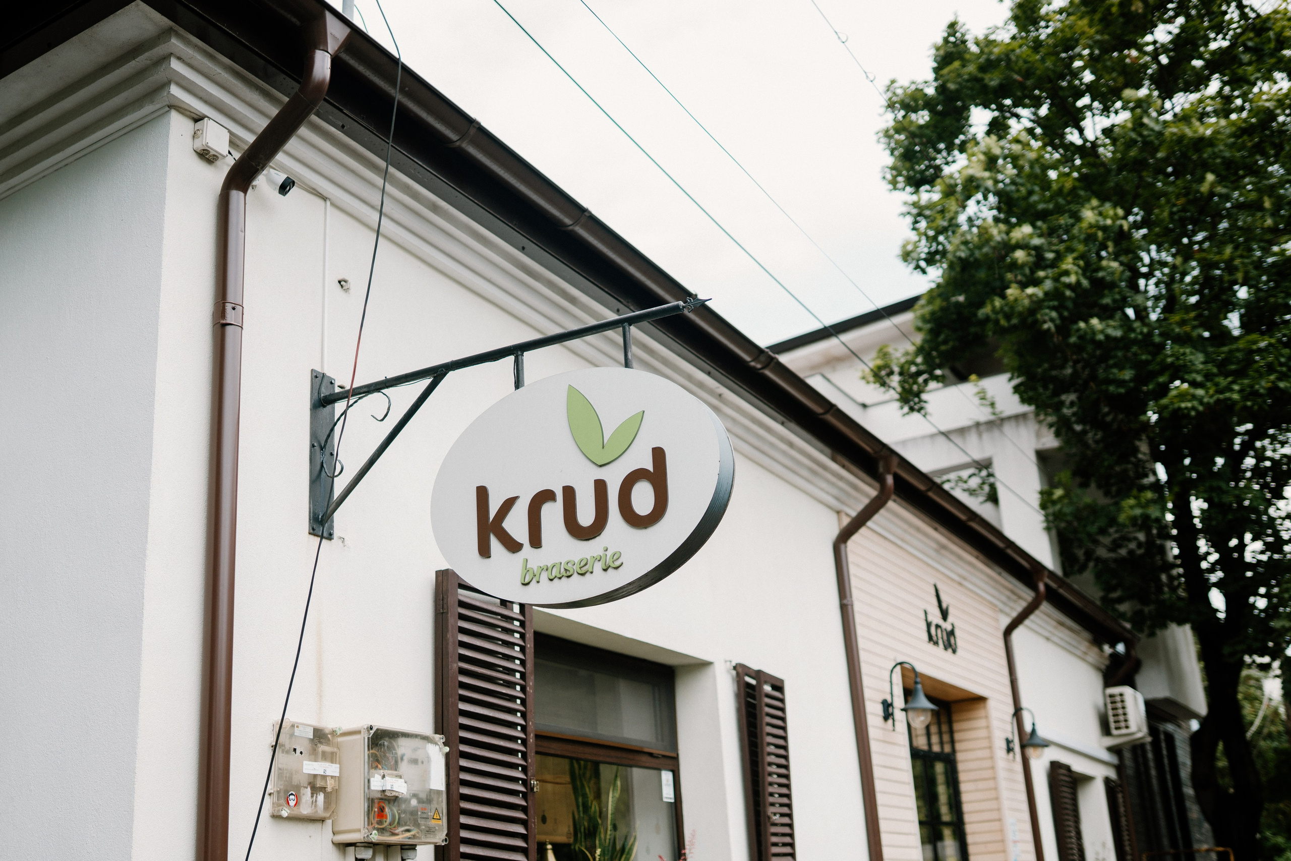 Baby Iris. Gabrielacojocariu.com