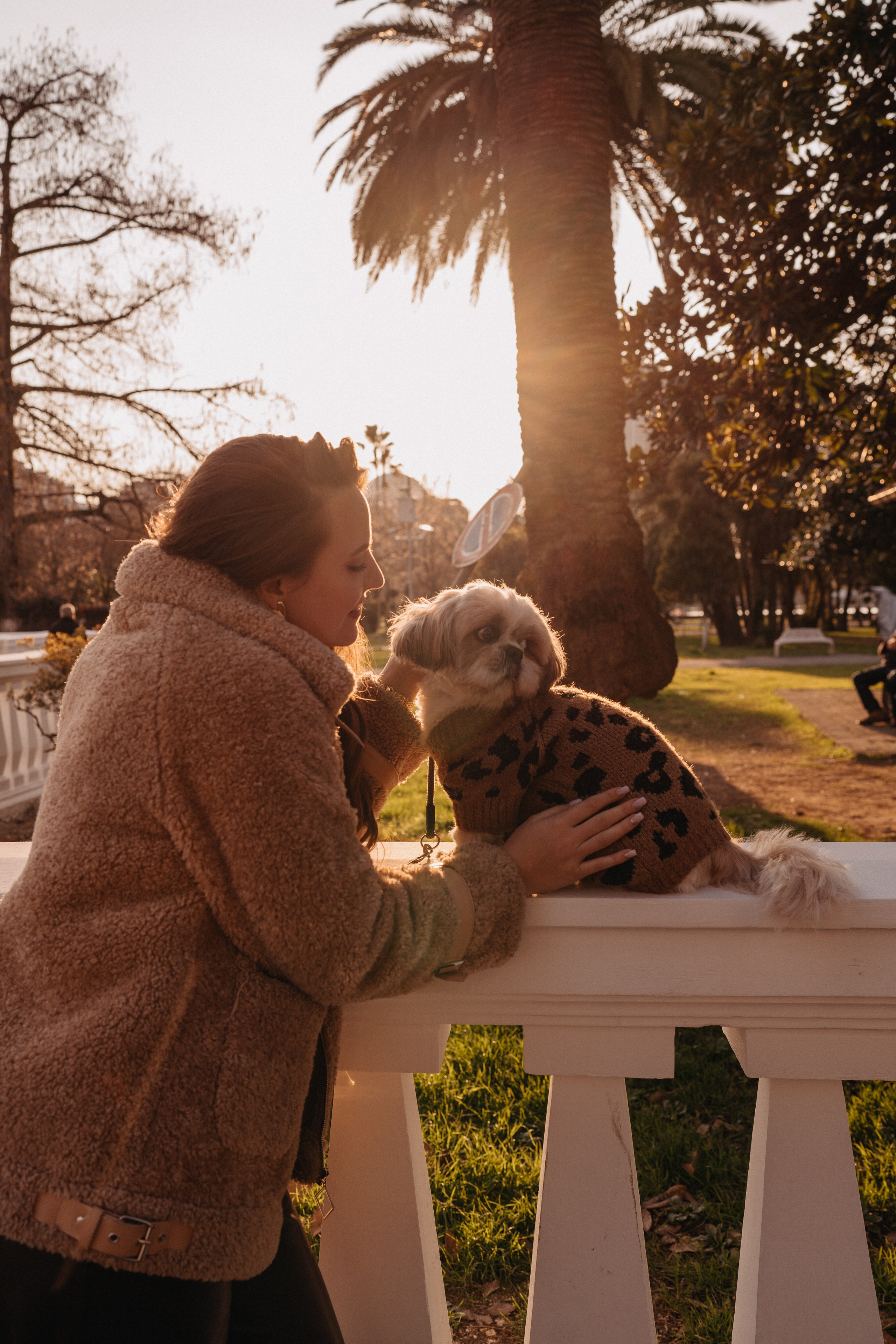 Фотосессия с собакой в Батуми. Портретный и свадебный фотограф в Батуми Валерия Азаренко