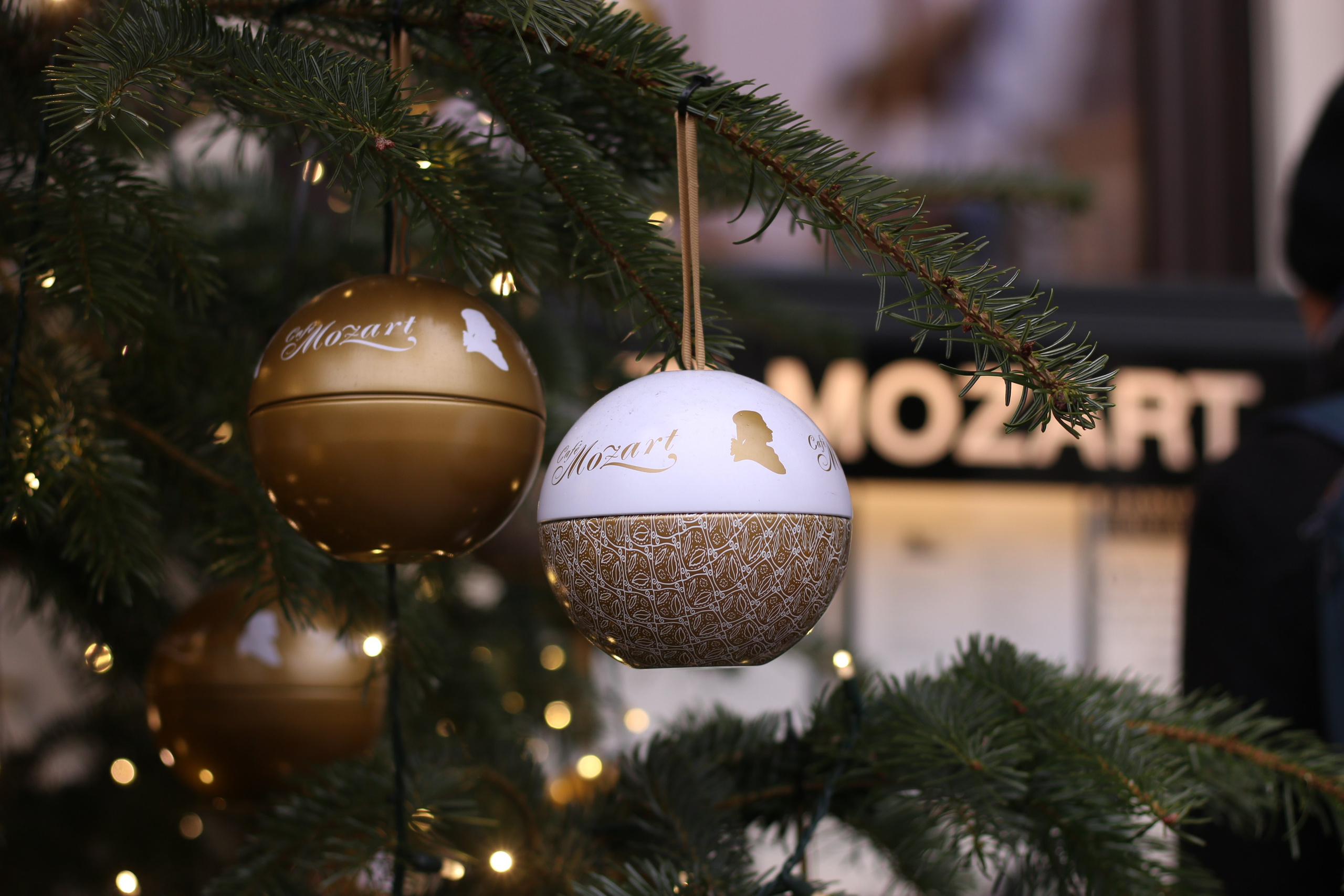 Vienna, Dec.19. Kseny Kolesnik Photography