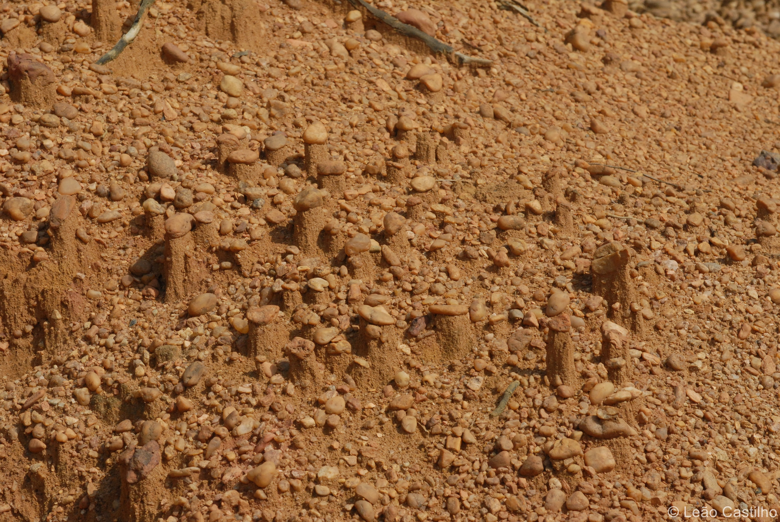 Photos from Congo people. Simbahalu