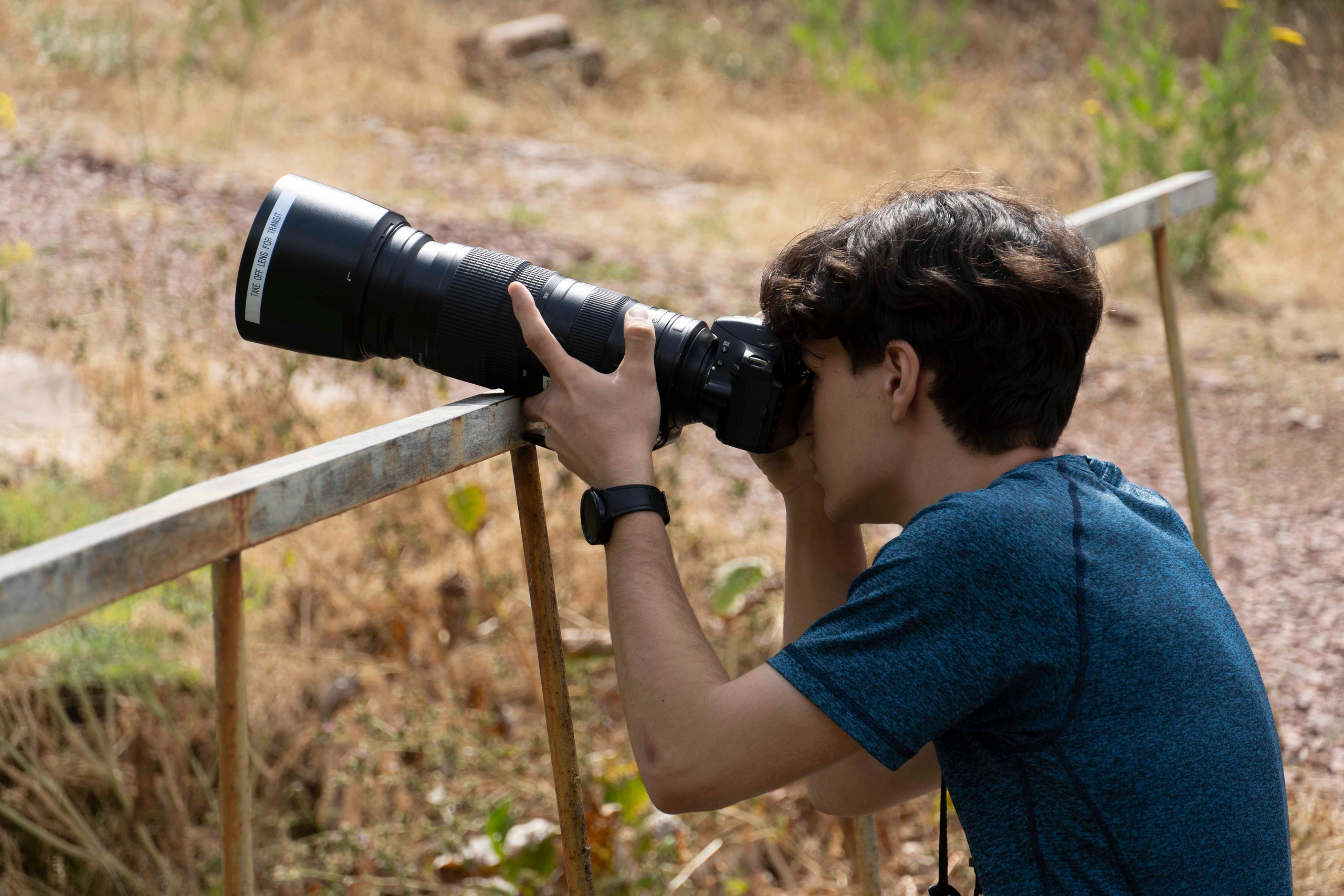 Wildlife Photography Programme (British Council x MOC). Melikov Amir, Uzbekistan based photographer