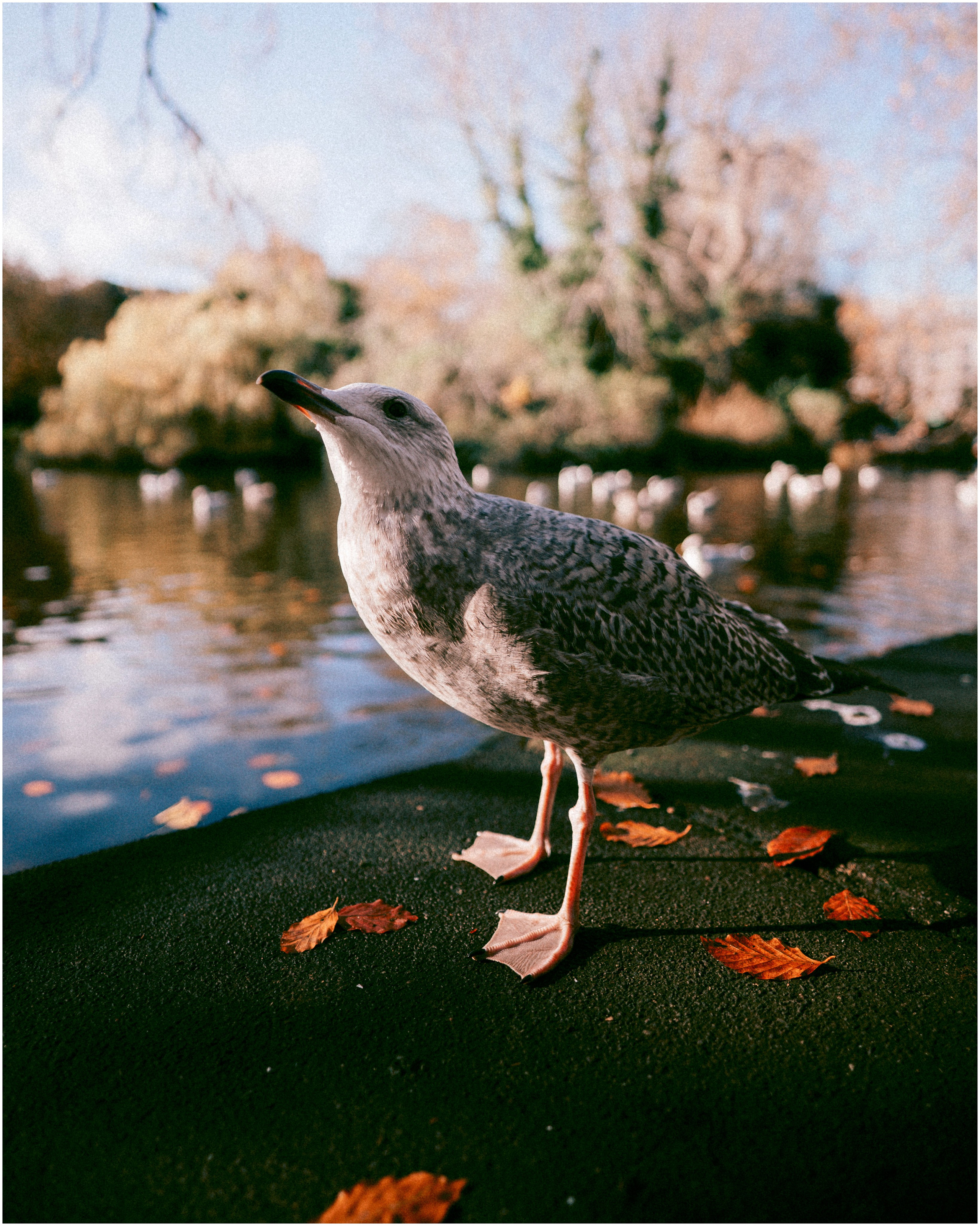 IRELAND. Inna Mendelson — Photographer