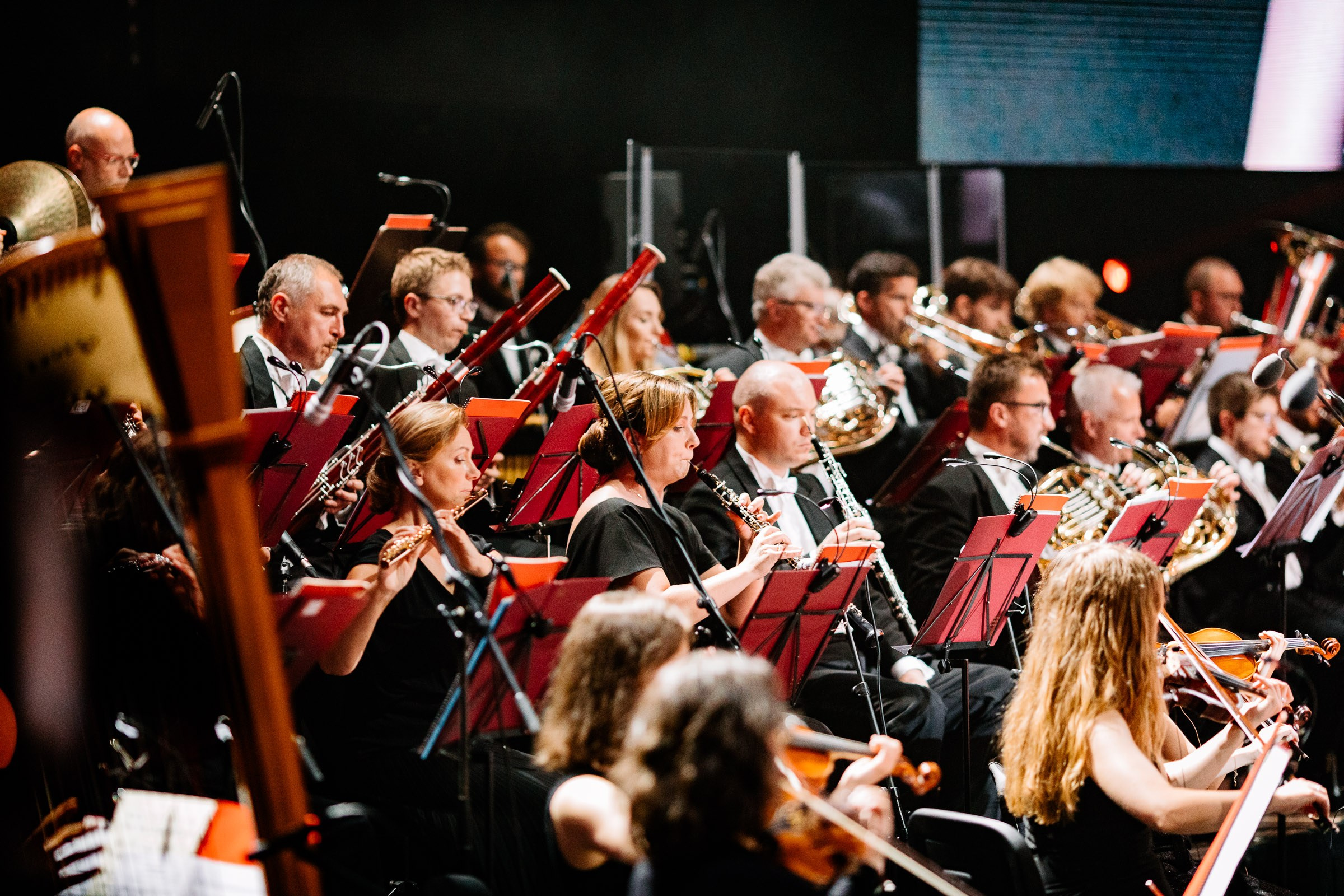 Opera Leśna Koncert. Fotograf Ślubny Warszawa - Sesje Biznesowe Rodzinne Eventy