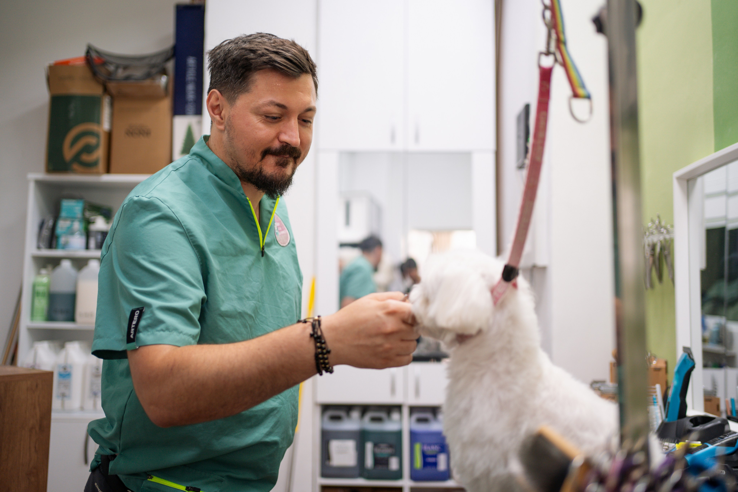 PetGroom Timisoara. Cozac Cristian Photographer