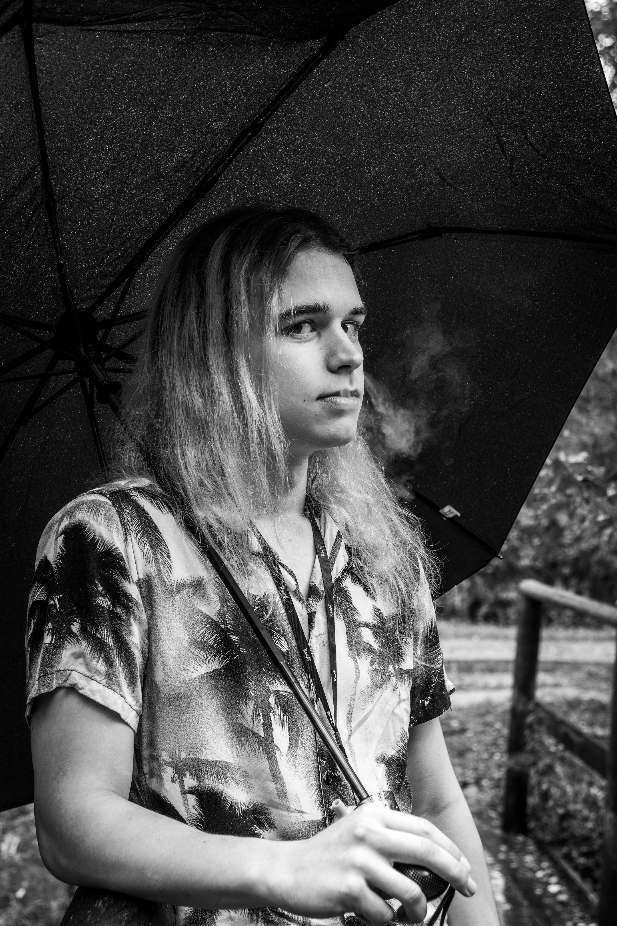 Mets, vihm ja jahedus (Dimitry). Nebula 25 — Fotod teie hingele