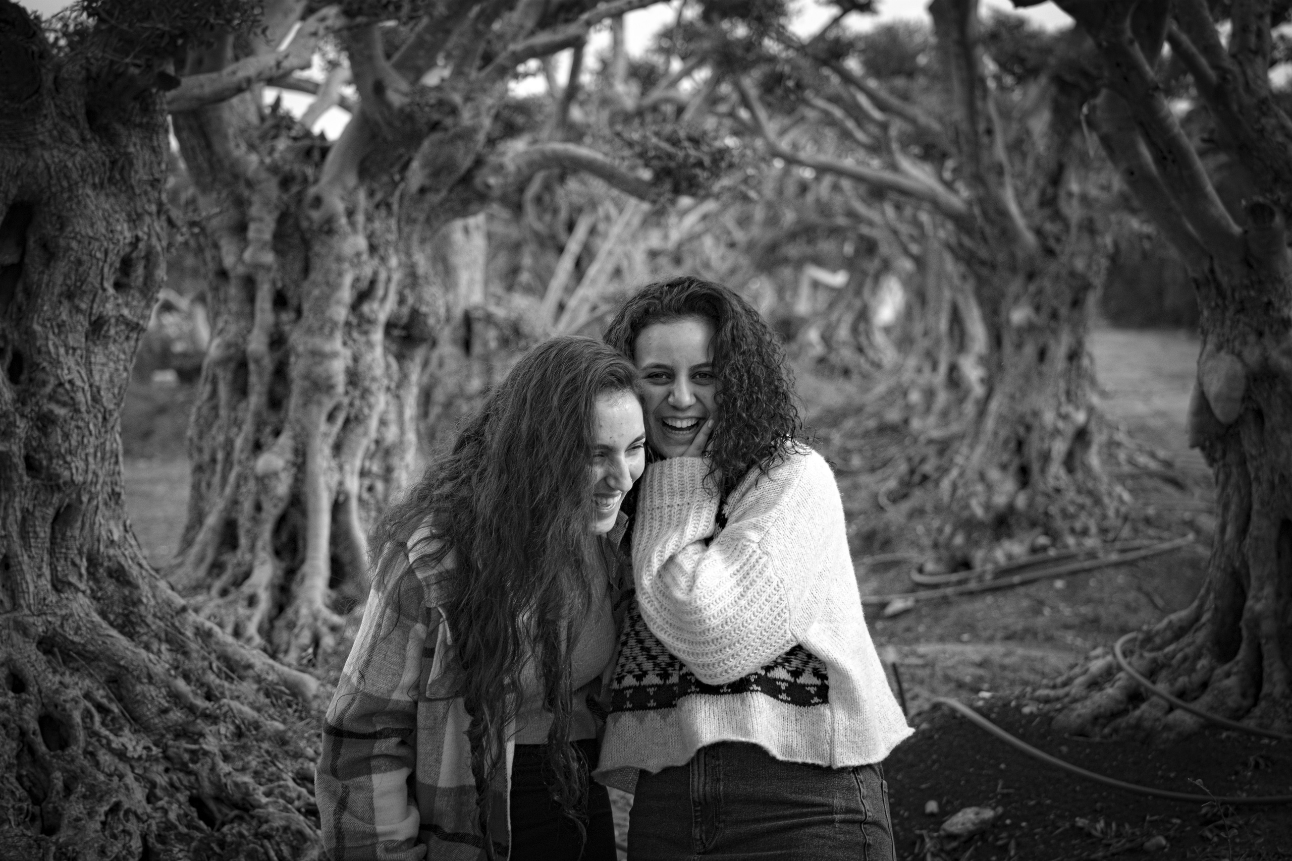 ZIMRAT. ADAS & SHAKED. Middle East Photo Agency — Weddings, Bar & Bat Mitzvahs, Brit Milah, Theater, Magnets, Portraits