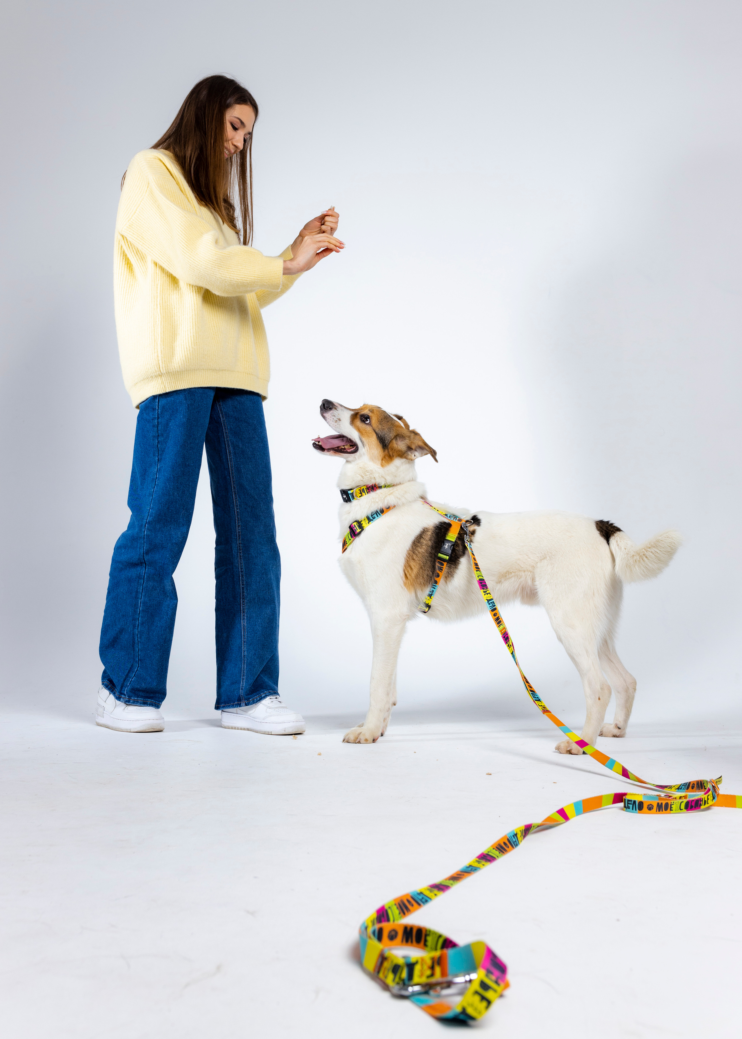 Твое Собачье Дело + Stand Up. Портретный и спортивный фотограф в Алматы Алексей Овечкин