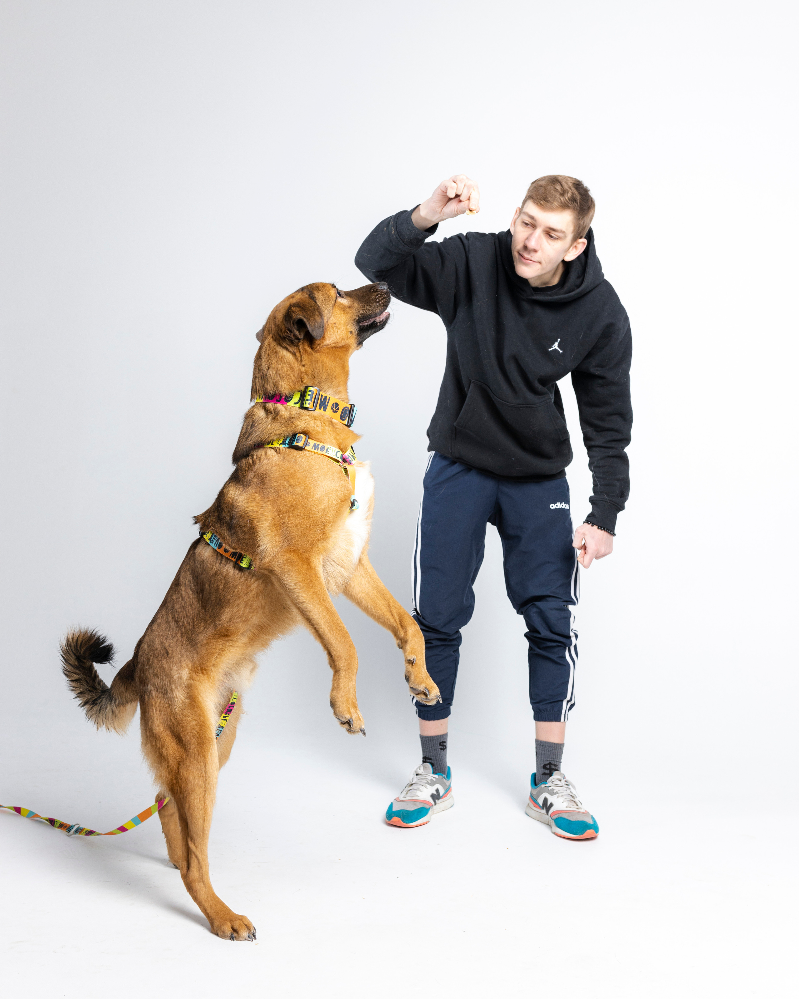 Твое Собачье Дело + Stand Up. Портретный и спортивный фотограф в Алматы Алексей Овечкин