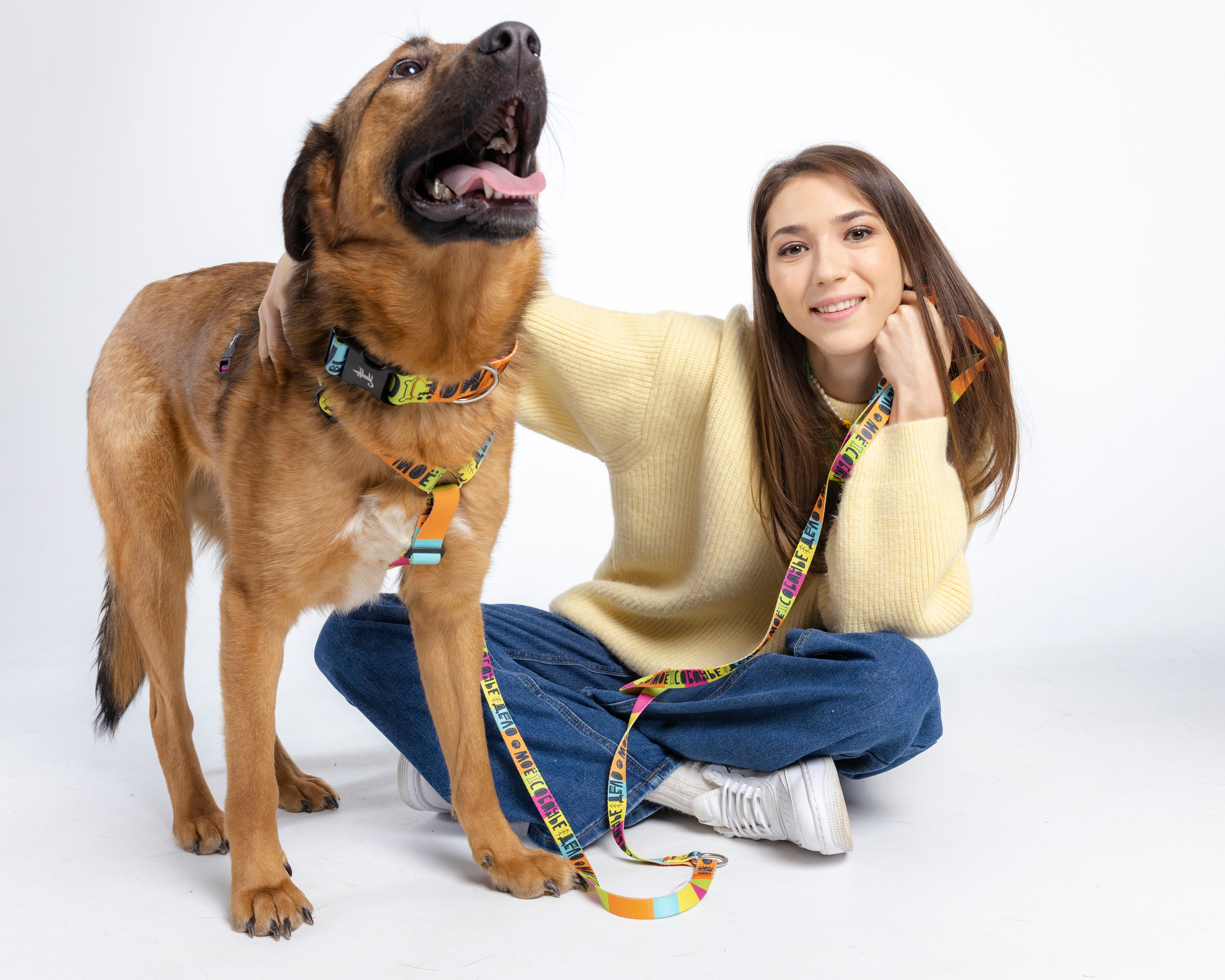 Твое Собачье Дело + Stand Up. Портретный и спортивный фотограф в Алматы Алексей Овечкин
