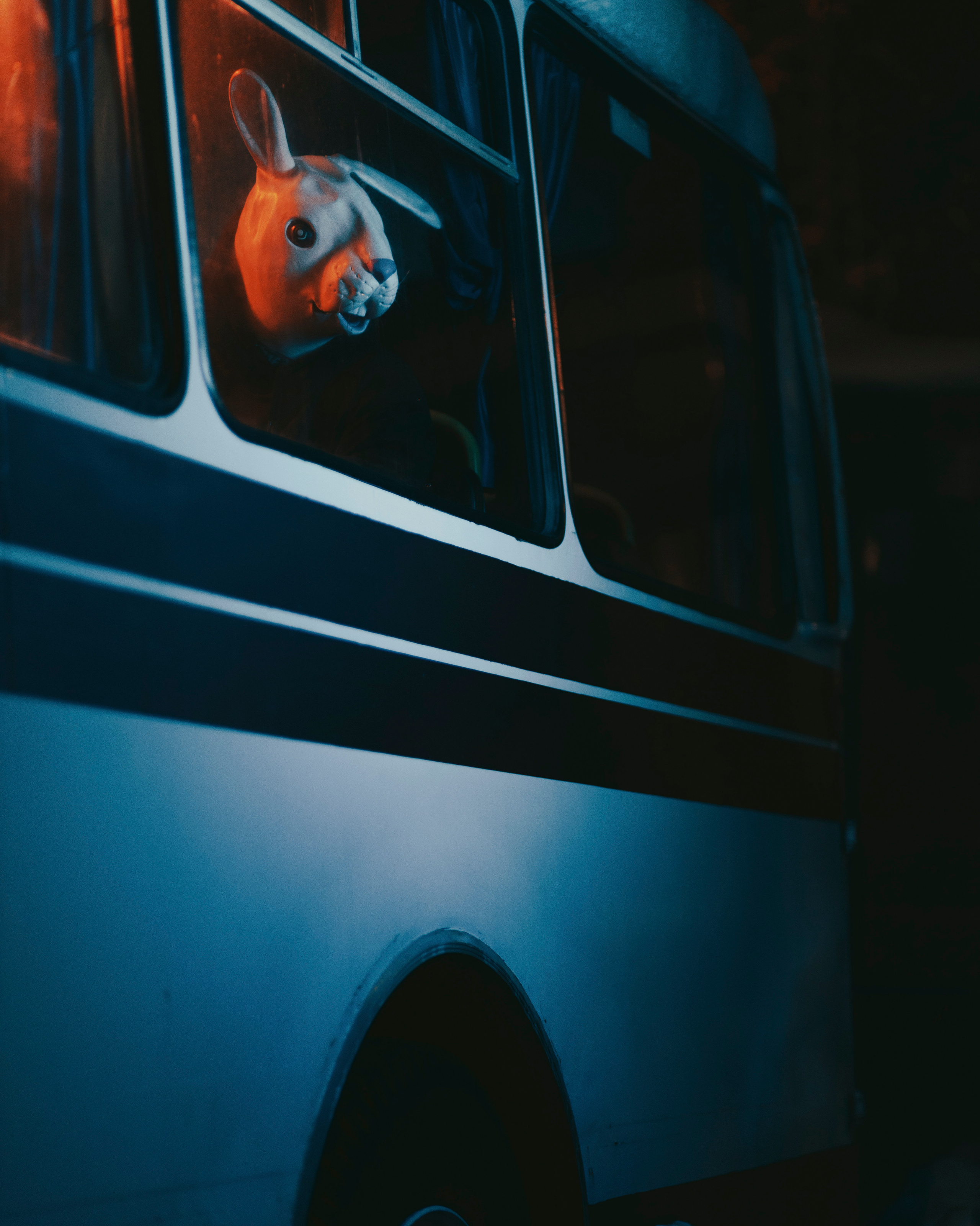 ЗАЯЦ | ЛИАЗ. Портретный и спортивный фотограф в Алматы Алексей Овечкин