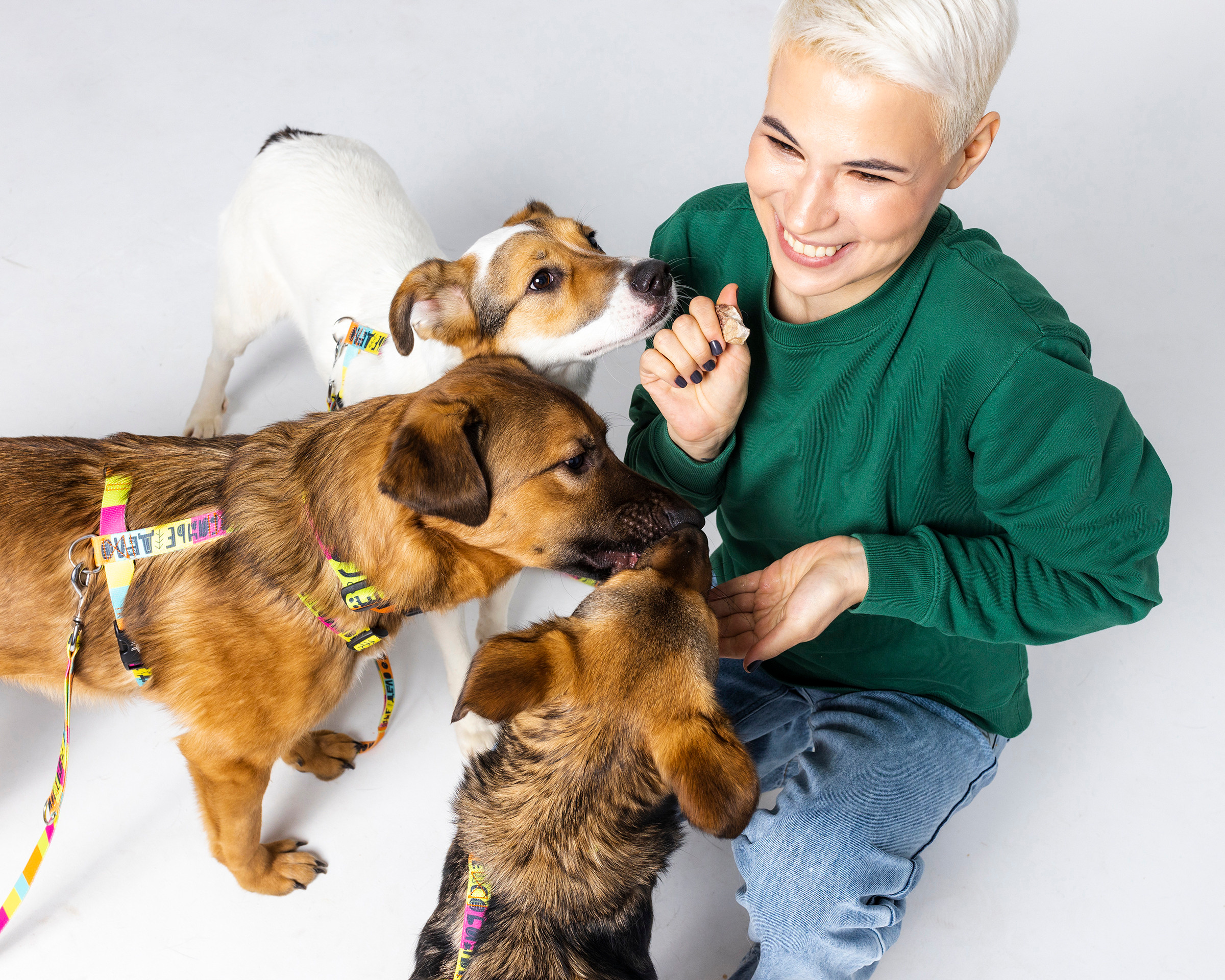 Твое Собачье Дело + Stand Up. Портретный и спортивный фотограф в Алматы Алексей Овечкин