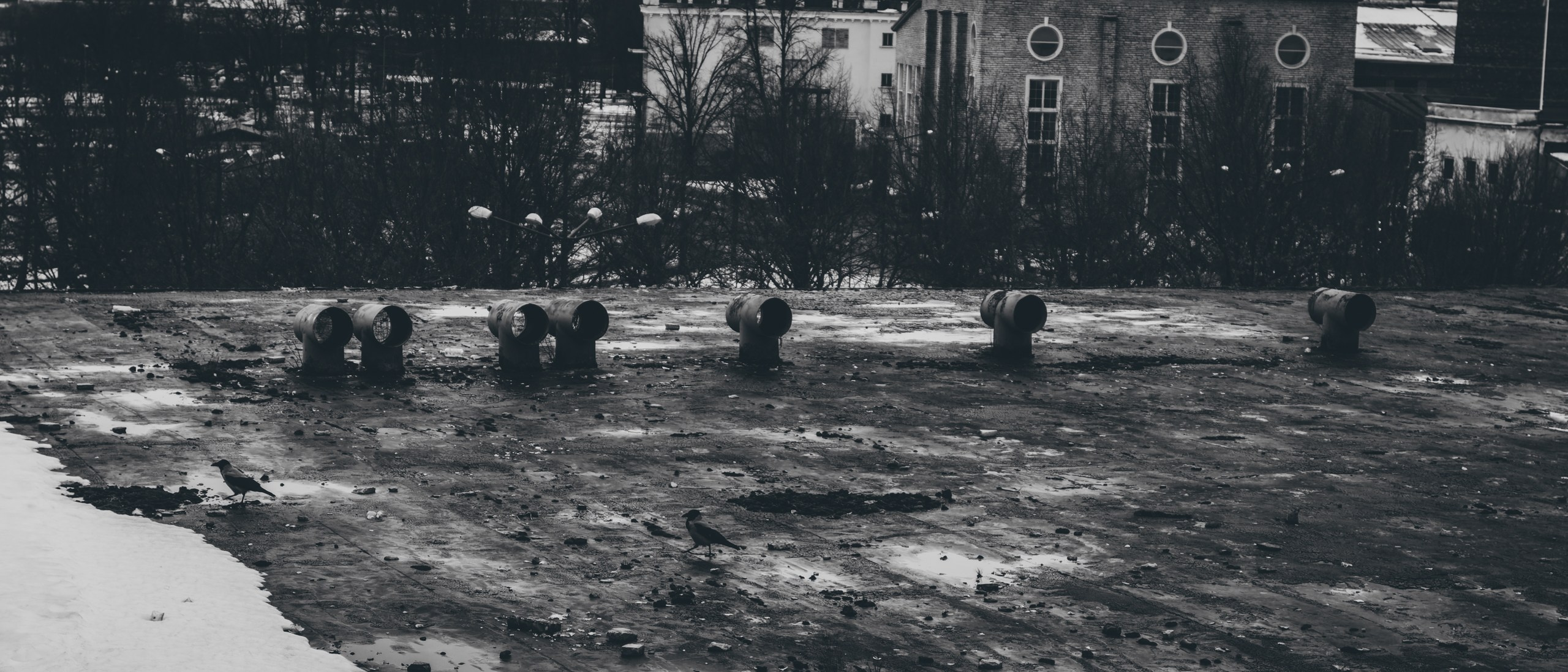 Jalutamine, Linnahall-Scotland Yard (Anja K.). Nebula 25 — Fotod teie hingele