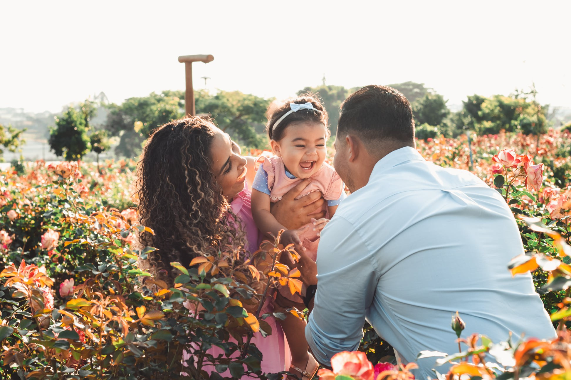 Joyce Maria Fotografia | Fotógrafa em Holambra