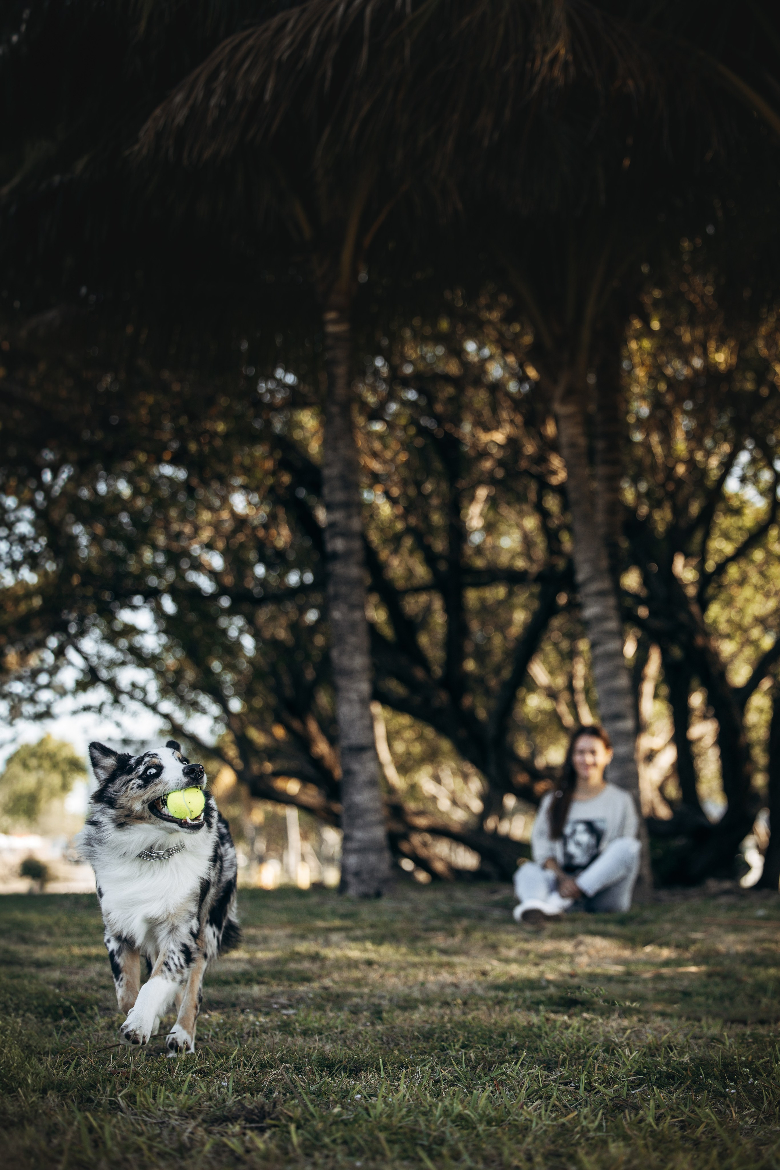 Gru, Marta & Vladimir. Pet Photographer Viktoriya Aleshenko