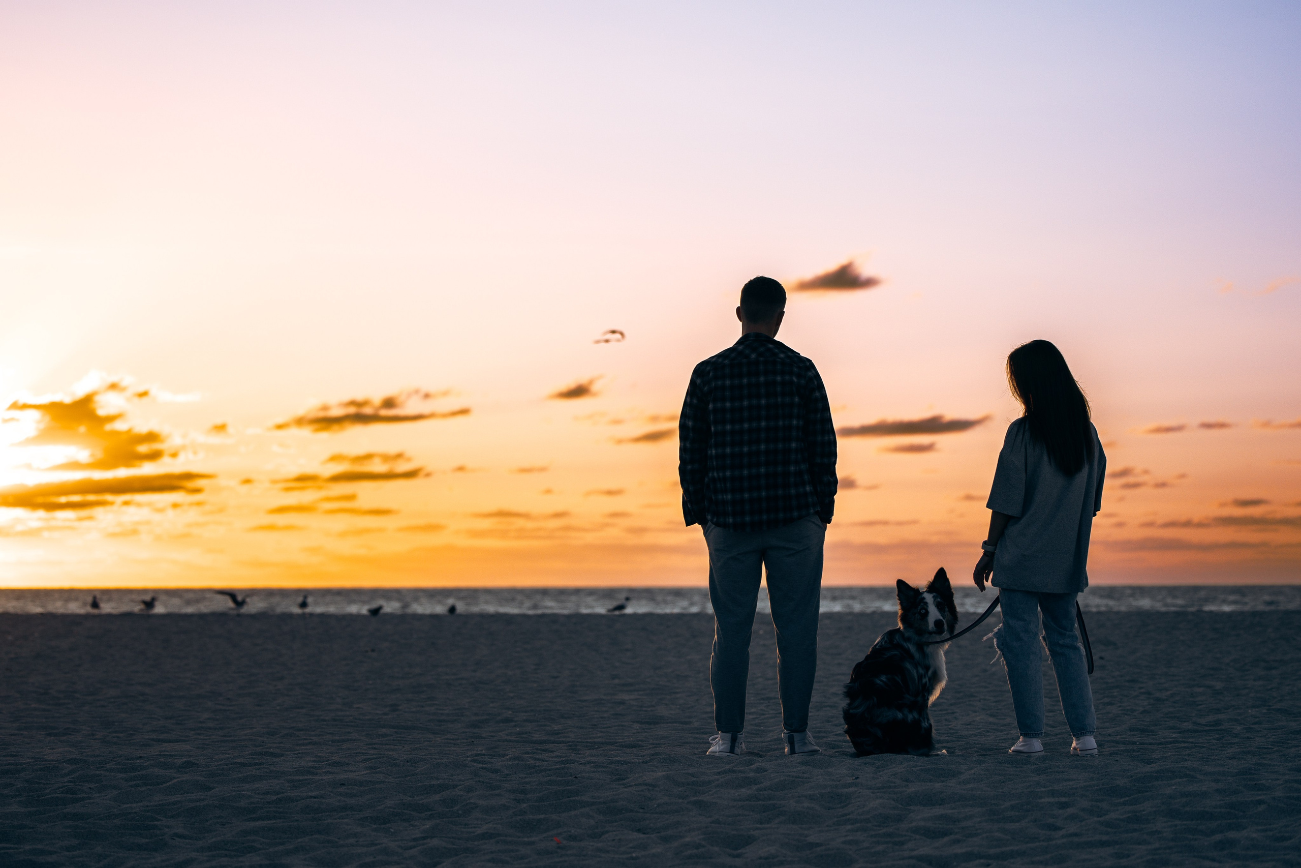 Gru, Marta & Vladimir. Pet Photographer Viktoriya Aleshenko