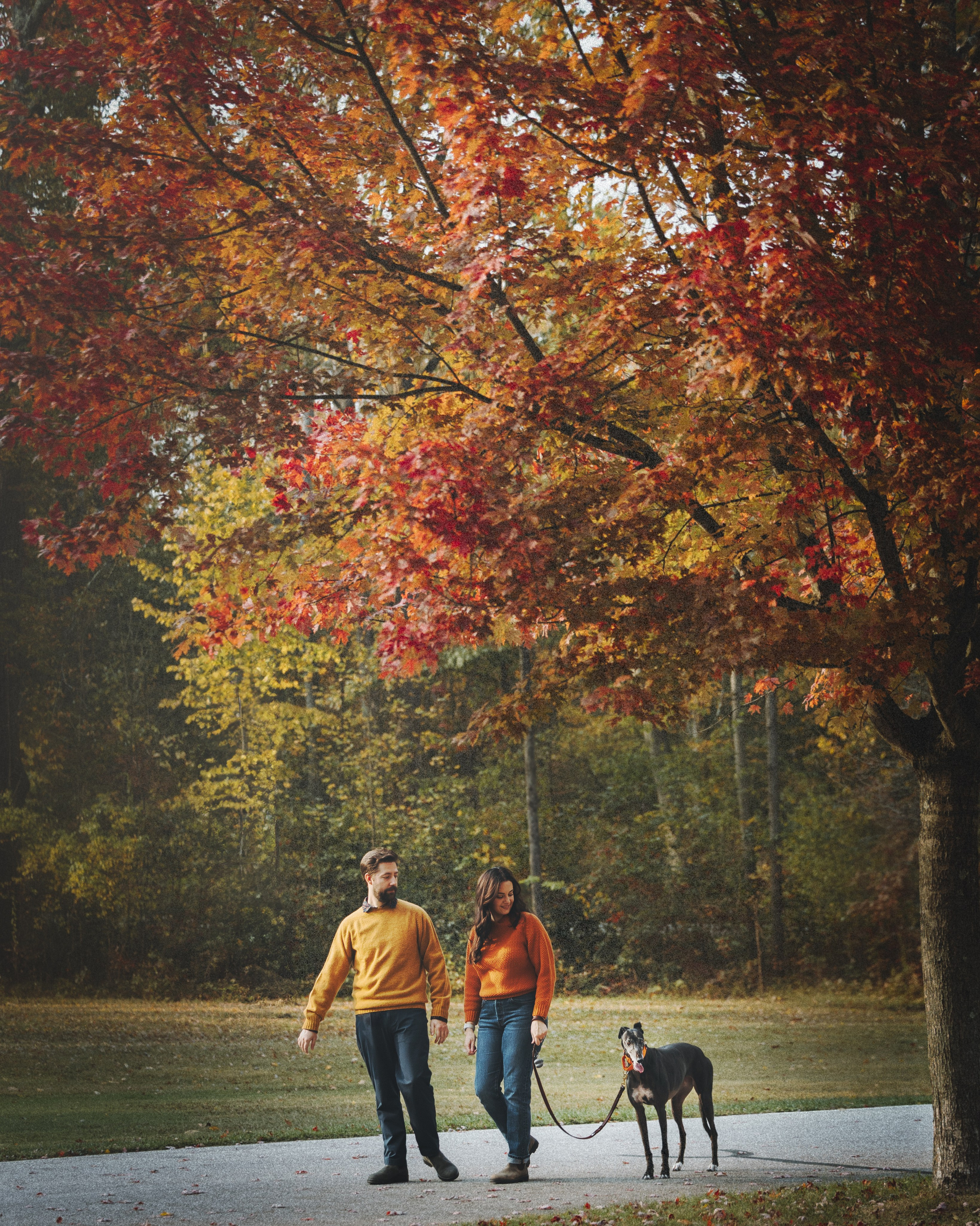 Tilly, Kati & Landon. Pet Photographer Viktoriya Aleshenko