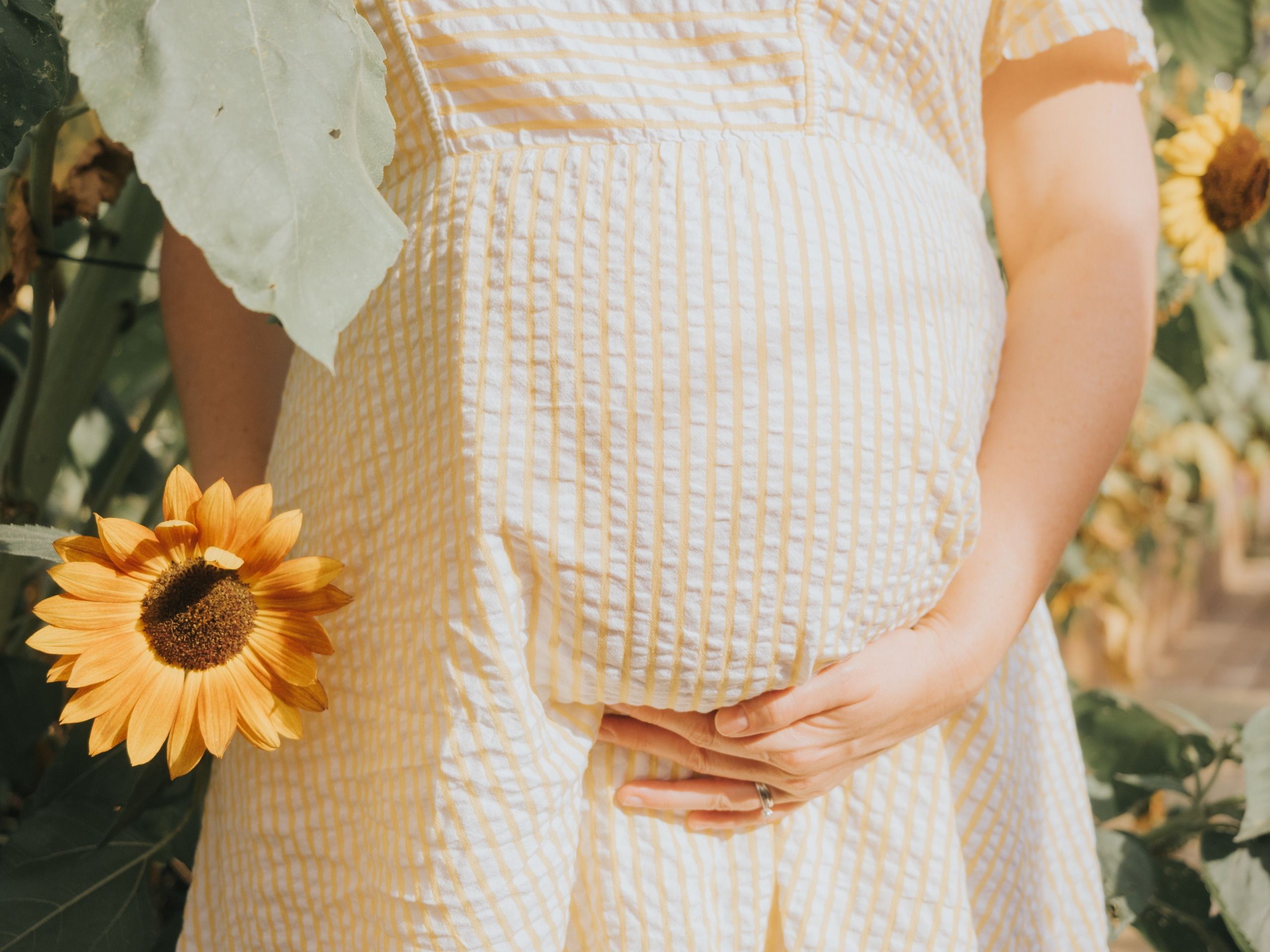 Pregnant belly surrounded by sunflowers.