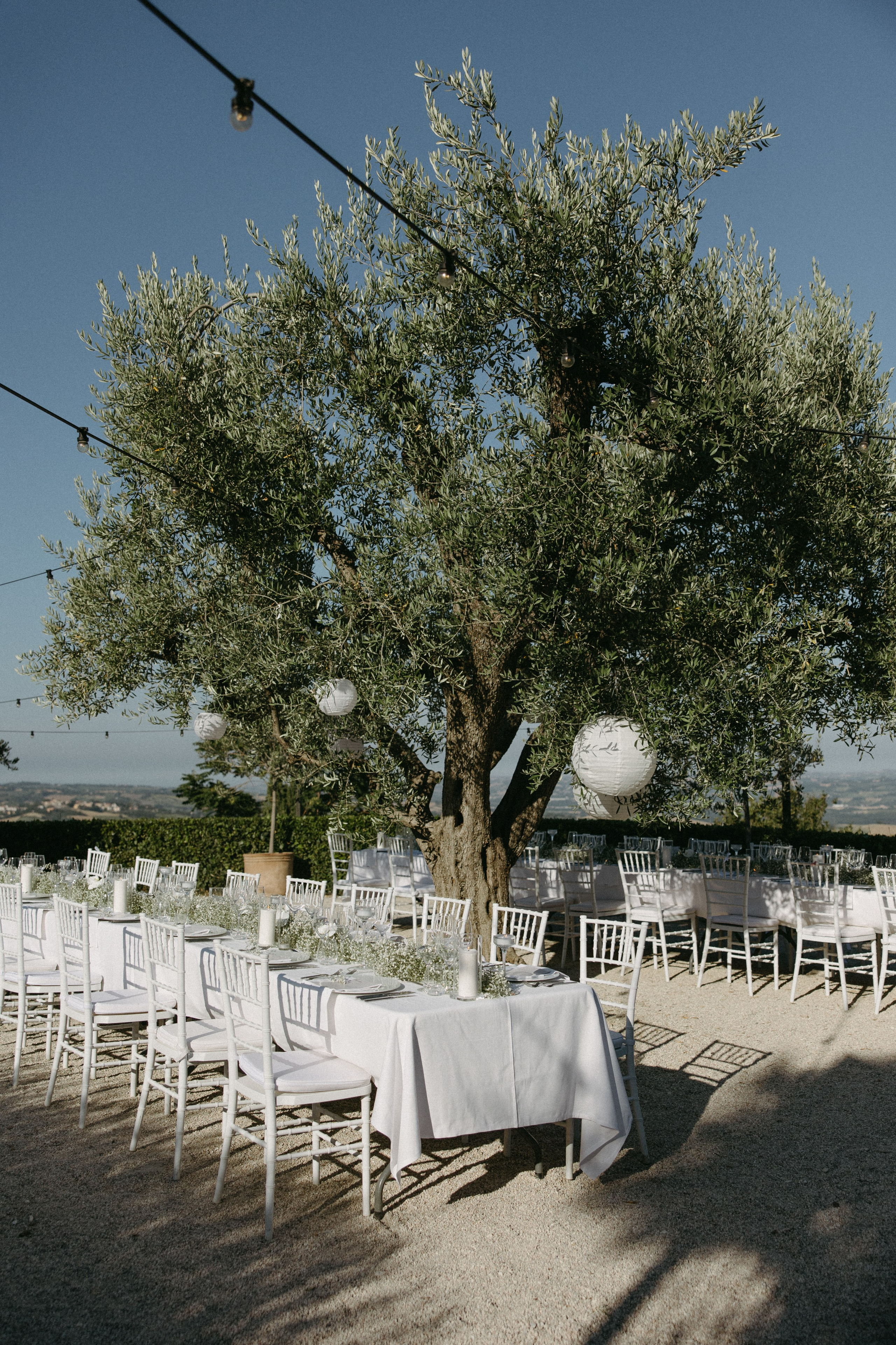 Sofia&Falk. Весільний фотограф Вікторія Саврук