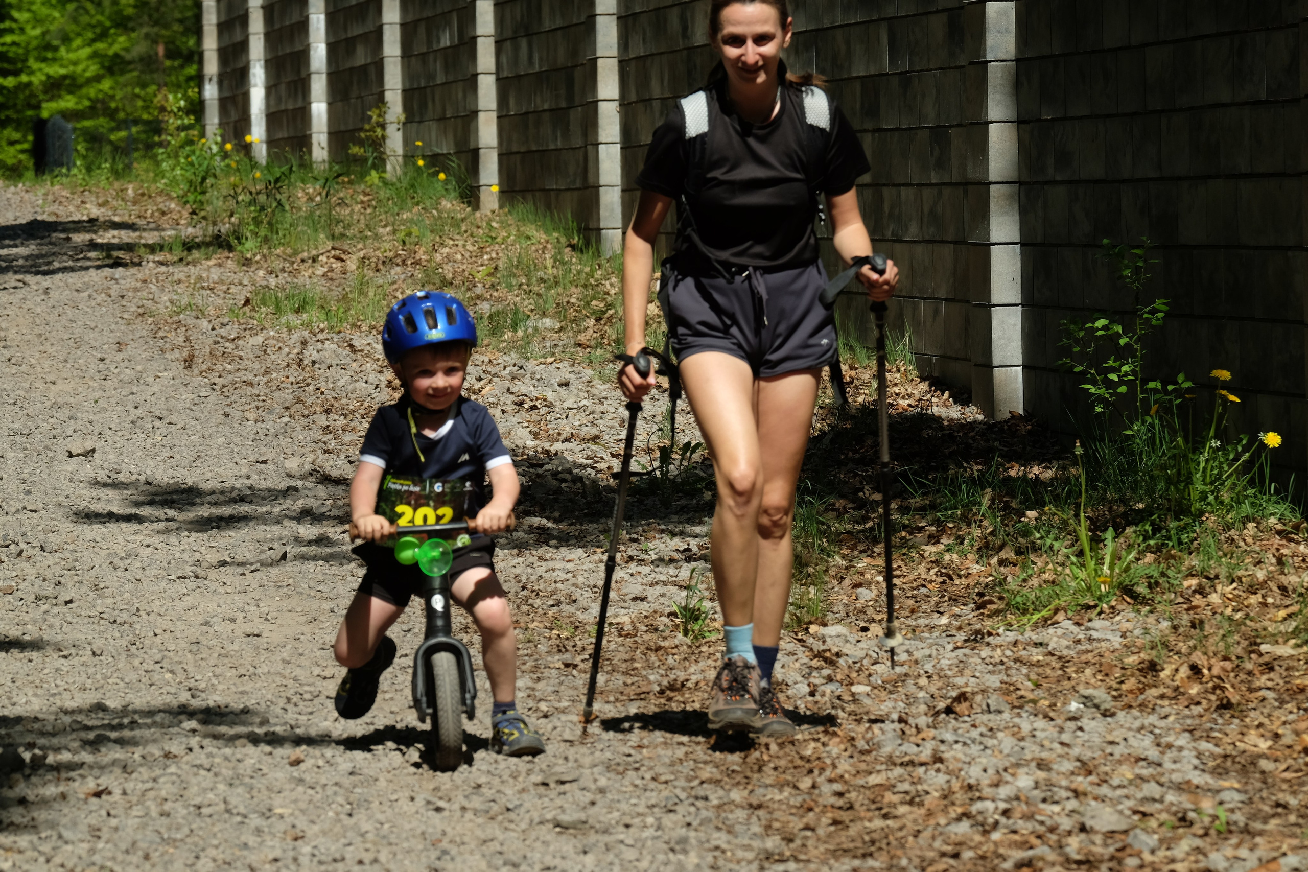 Aleksandryjska Piątka po lesie. Main