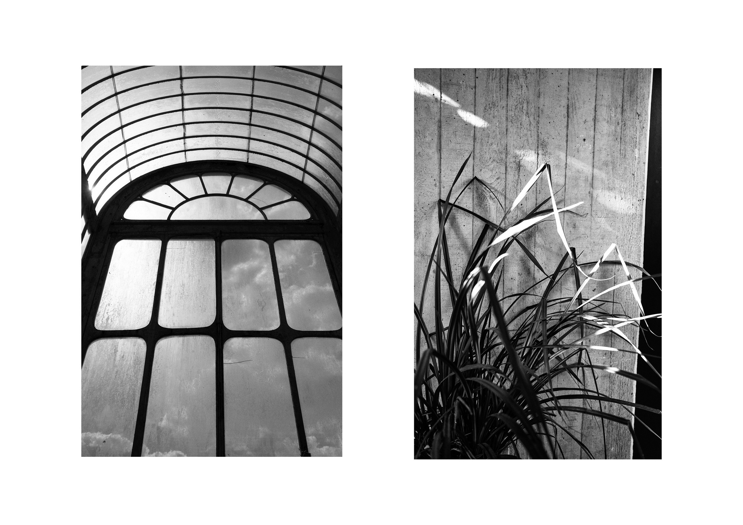 B&W. Cinema that you’ll never see