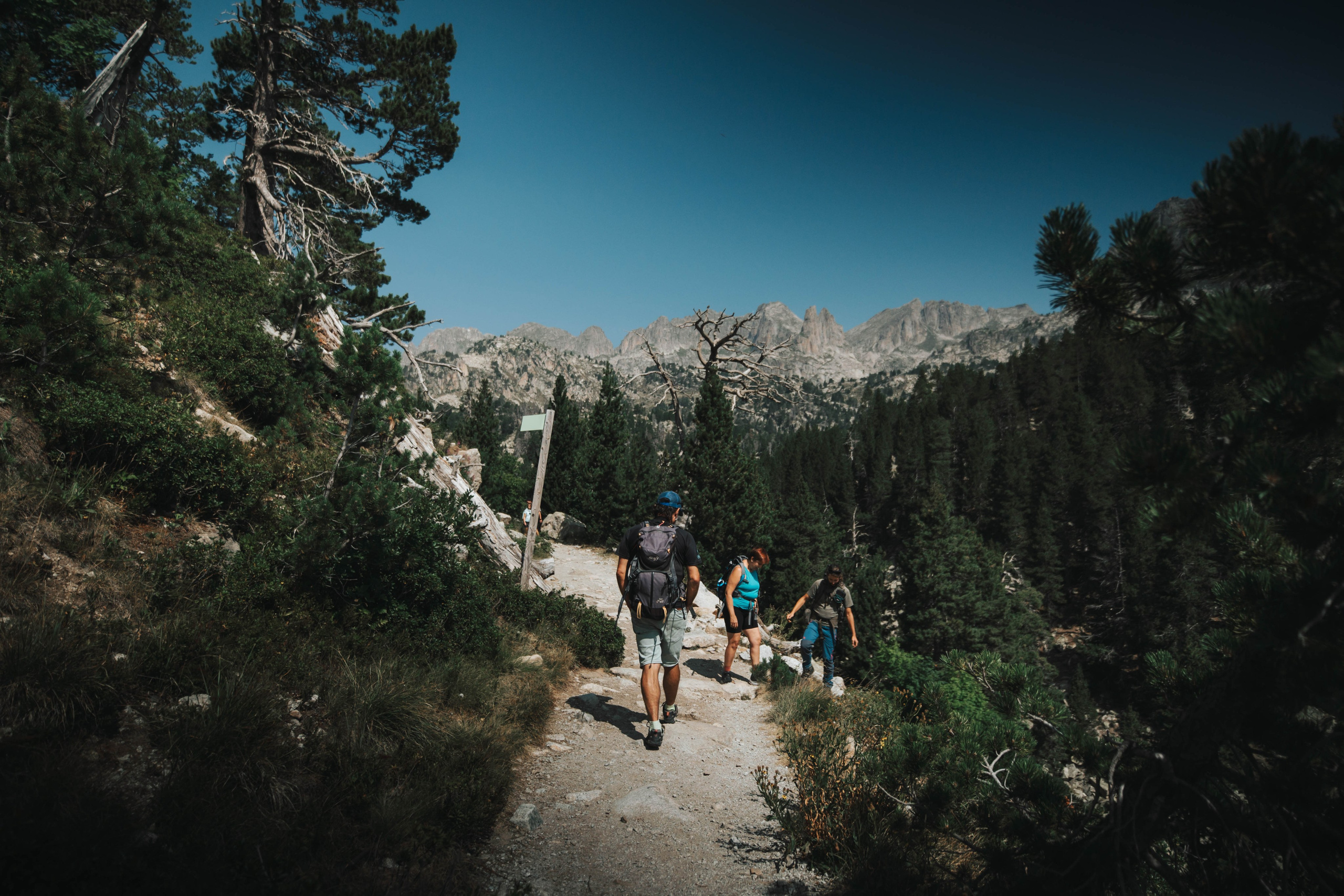 Parque Nacional de Aigüestortes y Estany de Sant Maurici. Alba del Norte Studio