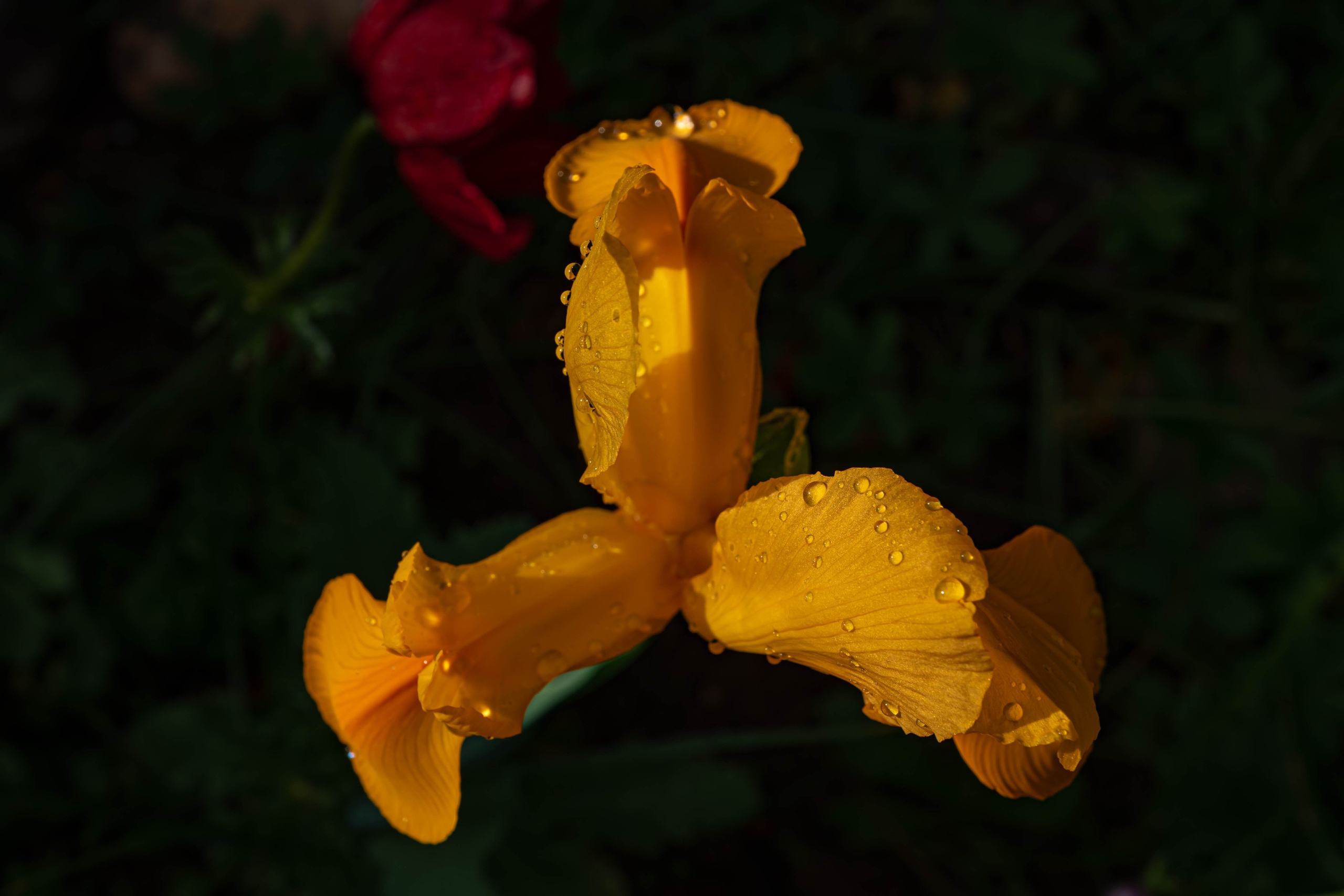 Bocetos. Alba del Norte Studio