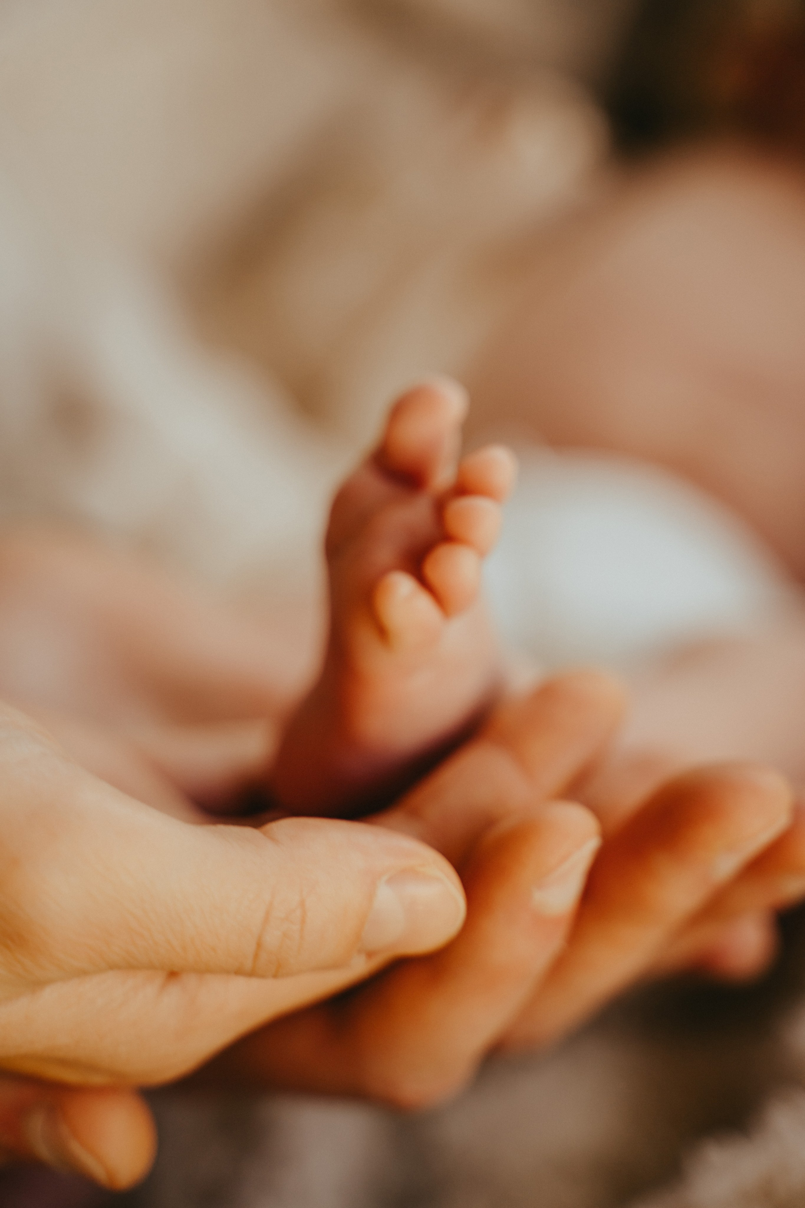 Свадебный и семейный фотограф и видеограф в Калифорнии Сан-Франциско и Bay Area