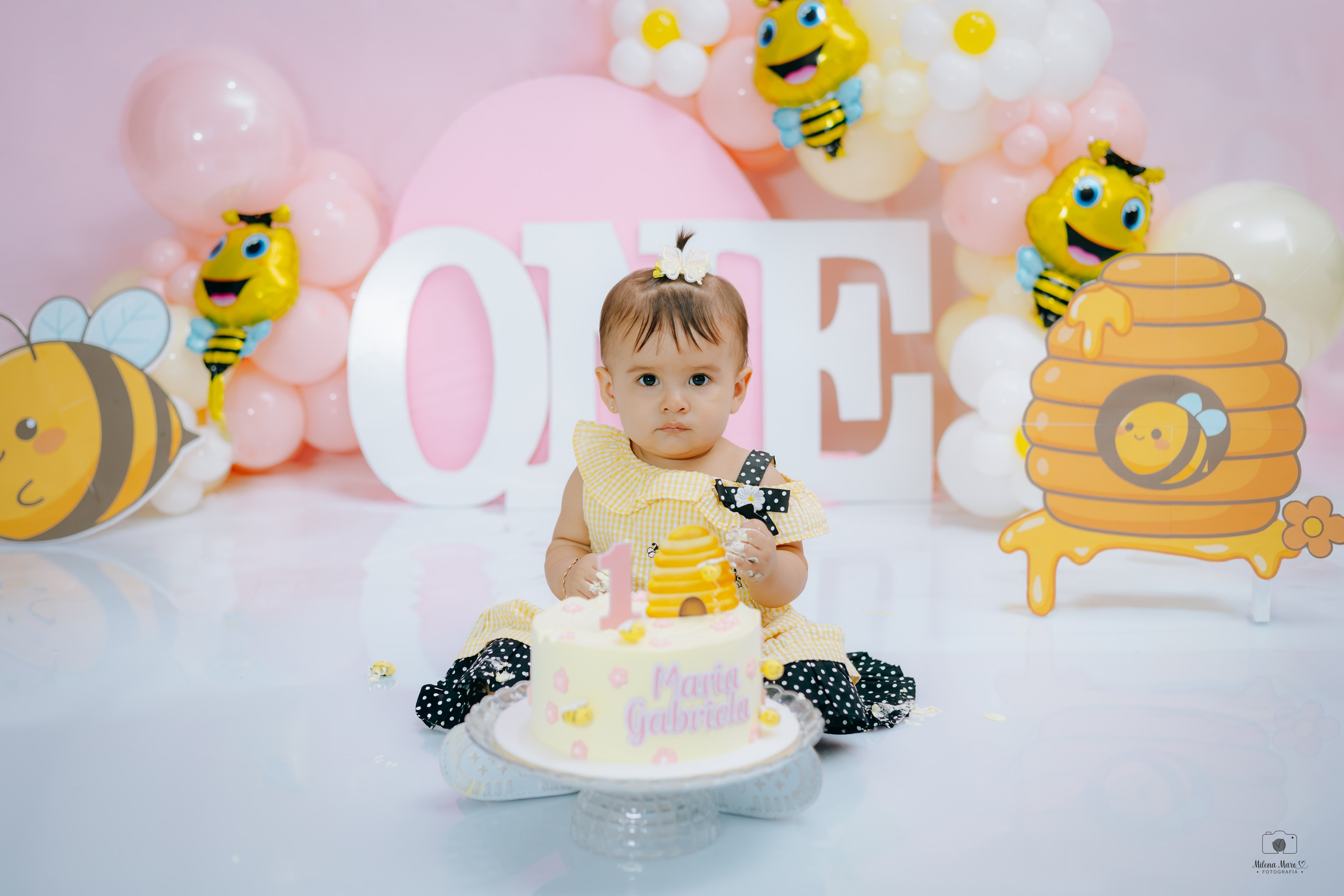 PRIMER AÑO ABEJITA. Milena Maro Fotografía: estudio profesional en Acacías, Meta. Retrato familiar, infantil, maternas, eventos y empresas