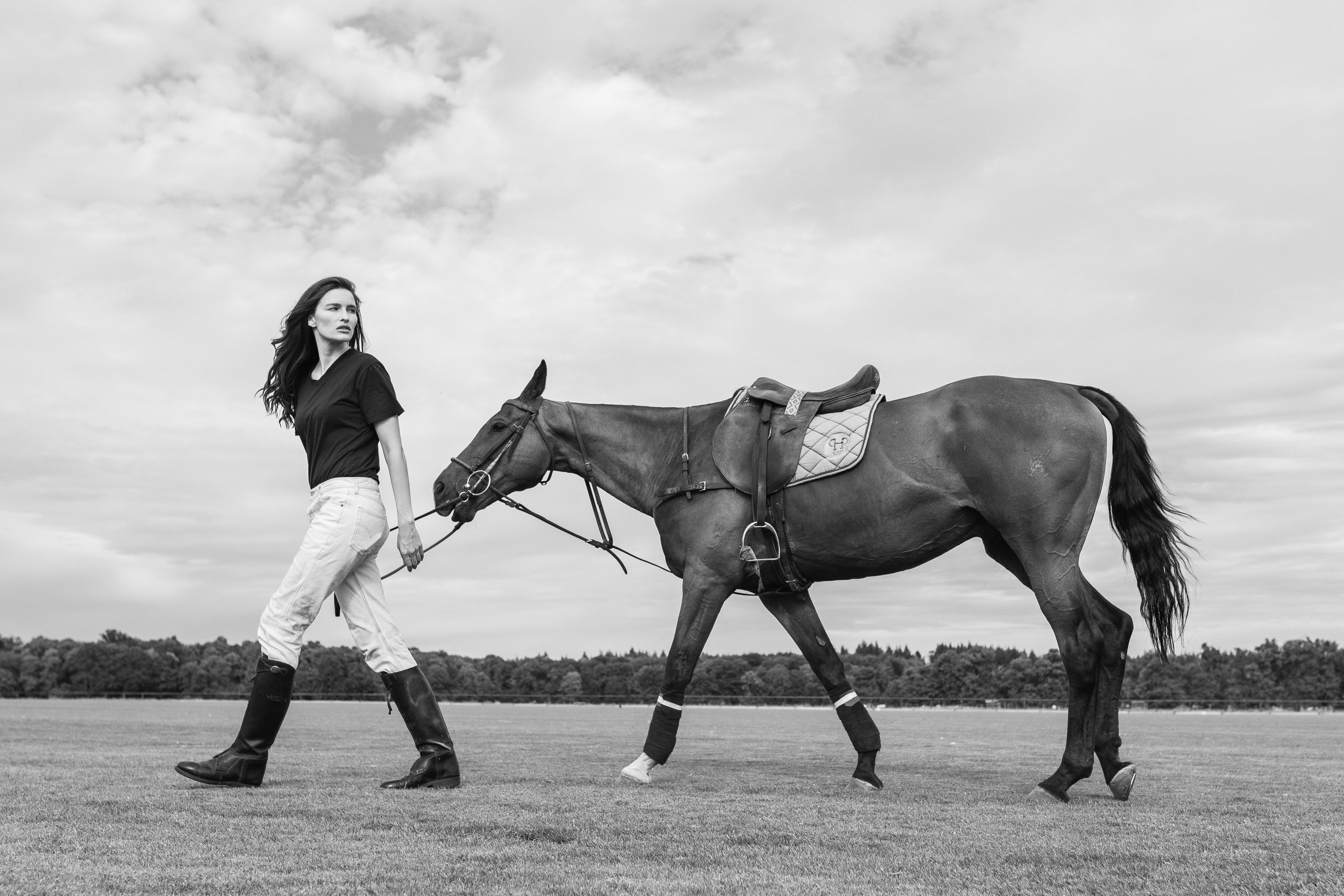 Photo shoot with horses