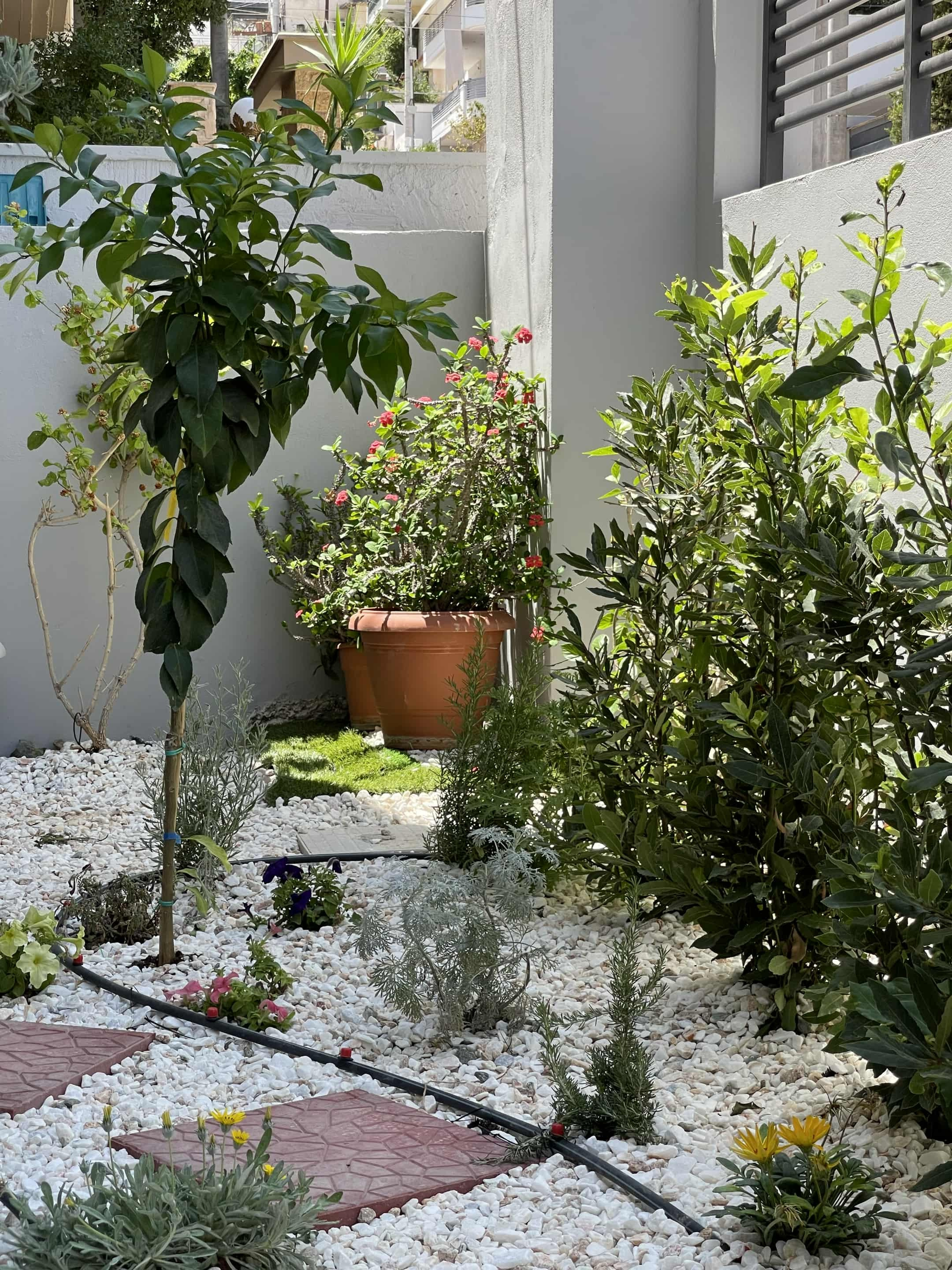 Kήπος Νεάπολη Νίκαιας. Geoponitikon-Όταν η Επιστήμη συναντά την Τέχνη στο Φυσικό Τοπίο!