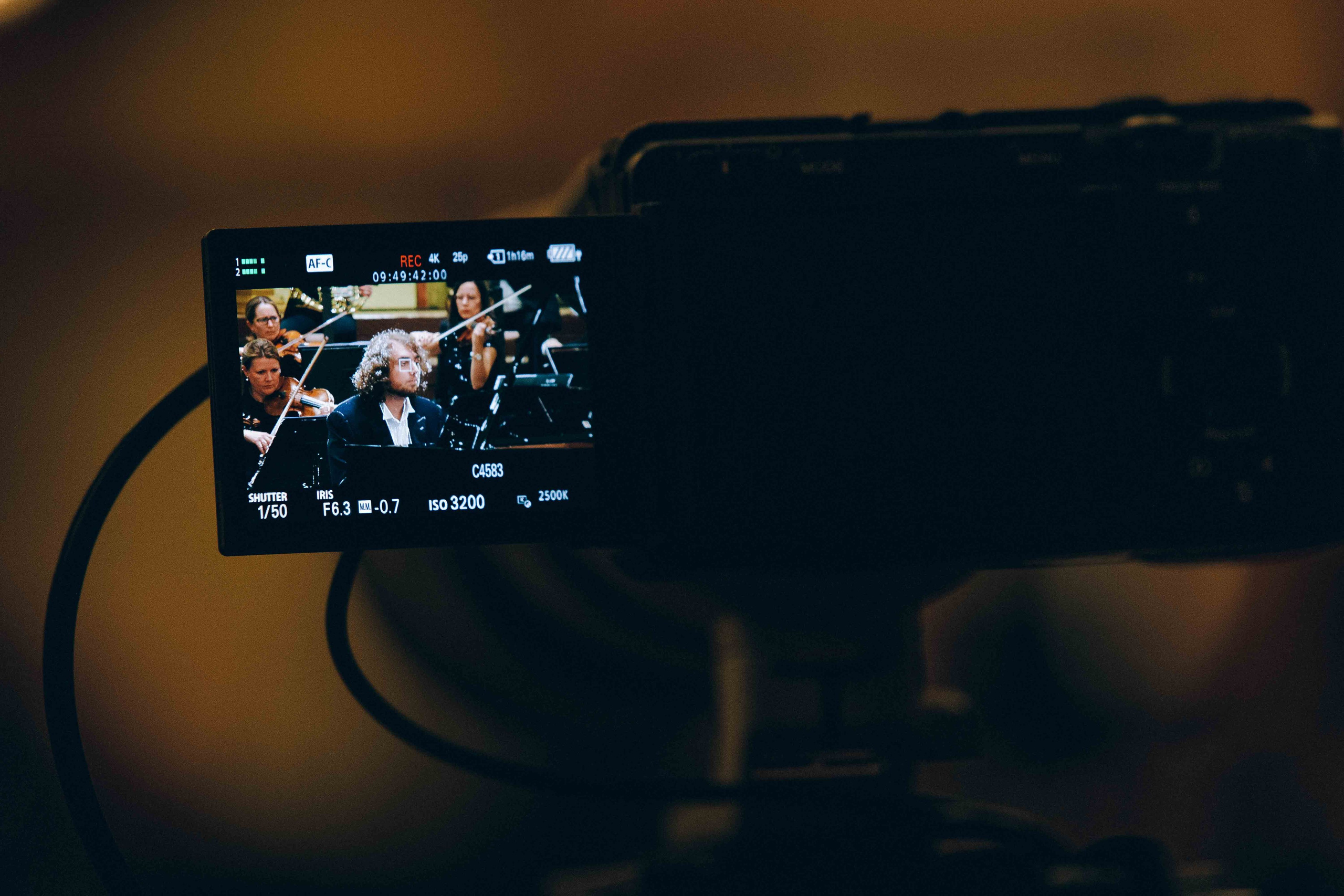 MUSIKVEREIN (VIENNA). Wedding&Event photographer Ismail Rzayev in Baku