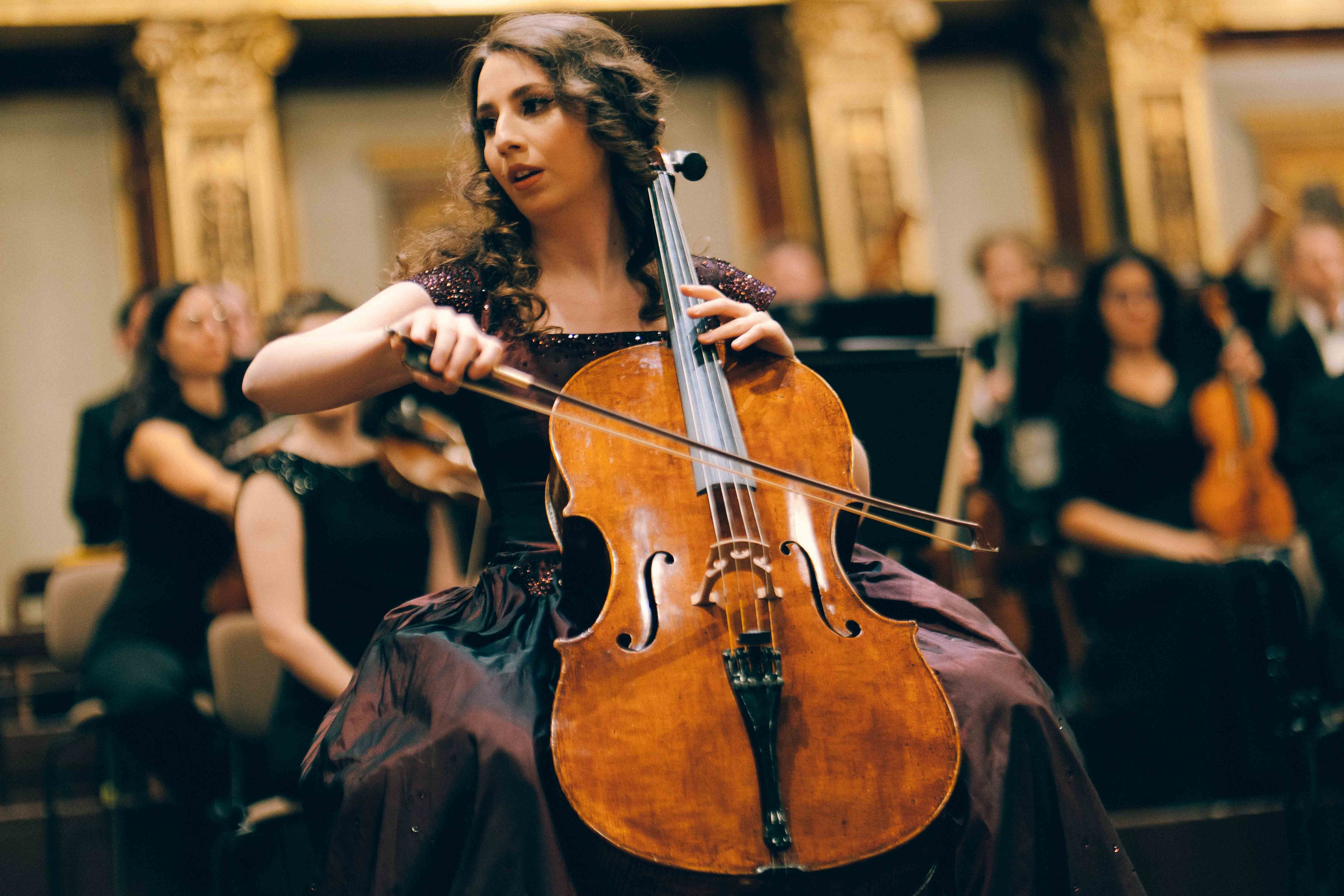 MUSIKVEREIN (VIENNA). Wedding&Event photographer Ismail Rzayev in Baku