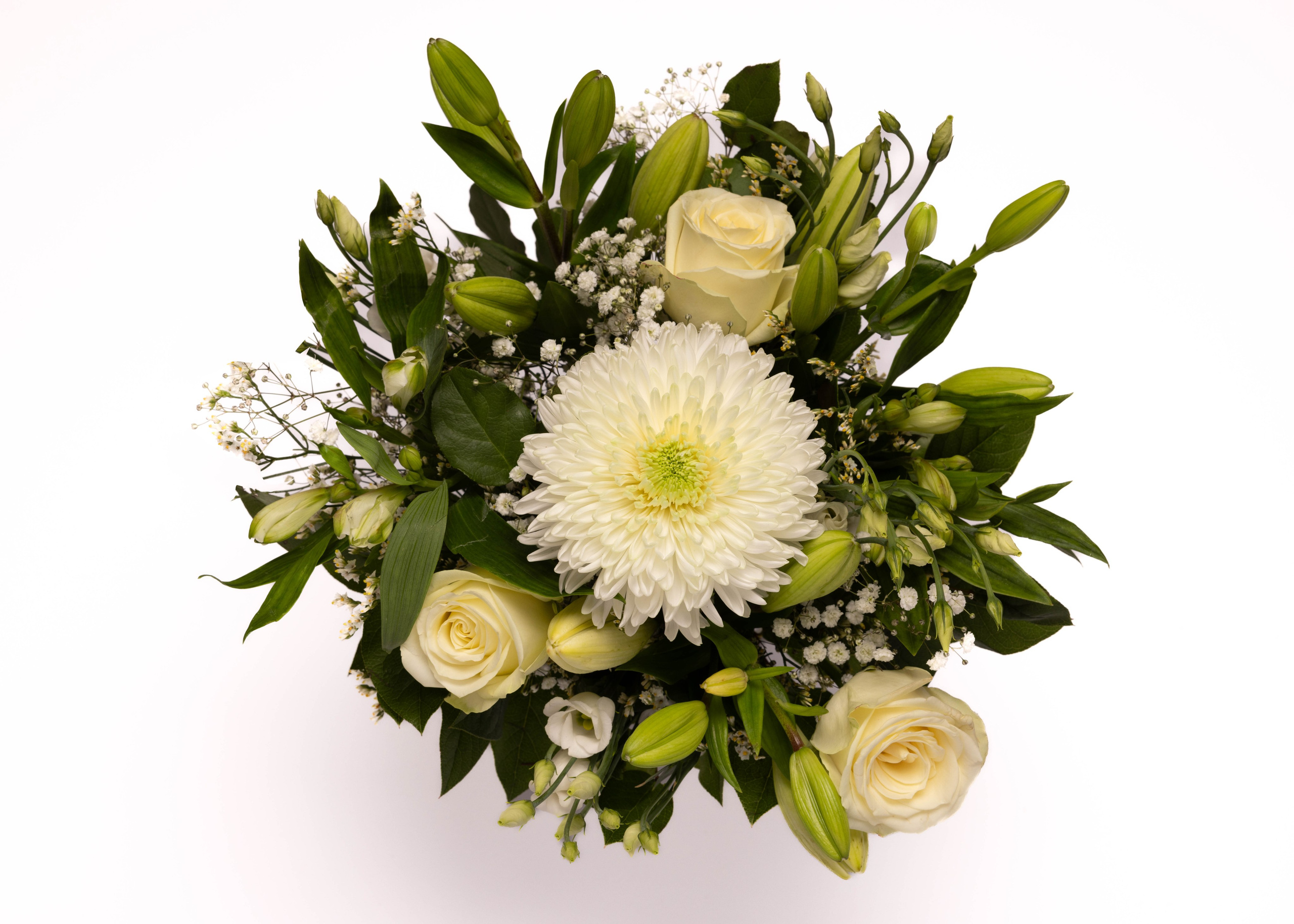 WEBSHOP BLOMSTERBUTIK. Fotograf Aarhus | Portrætfoto Århus | Flotte billeder