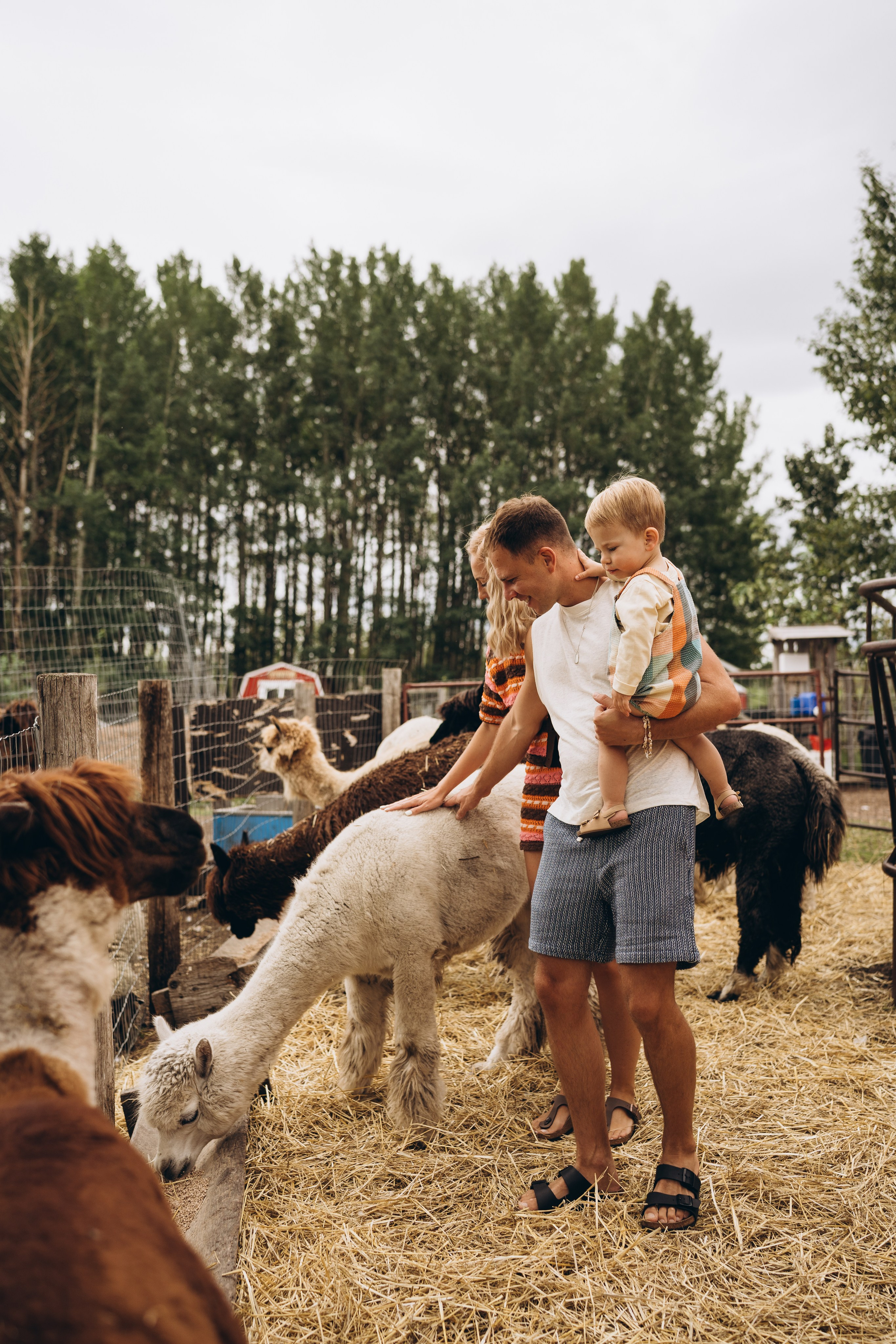 Roksolana & fam. Calgary Wedding & Lifestyle Photographer — Yevhen Polishchuk