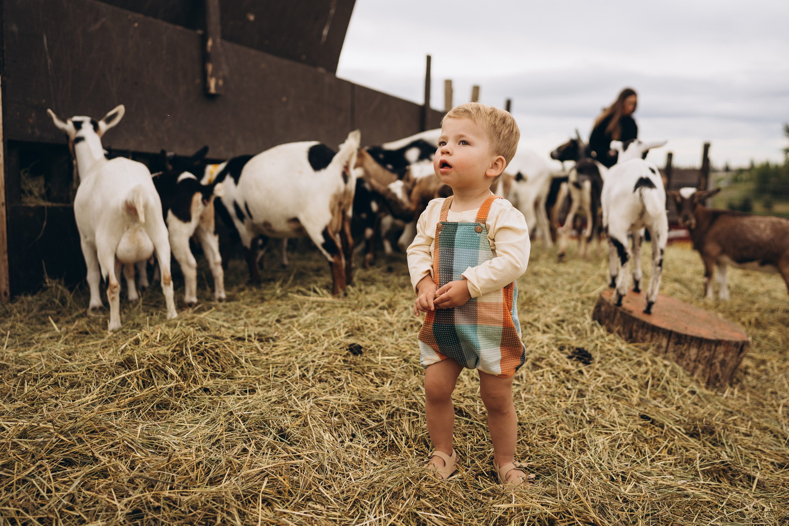 Lev. Calgary Wedding & Lifestyle Photographer — Yevhen Polishchuk