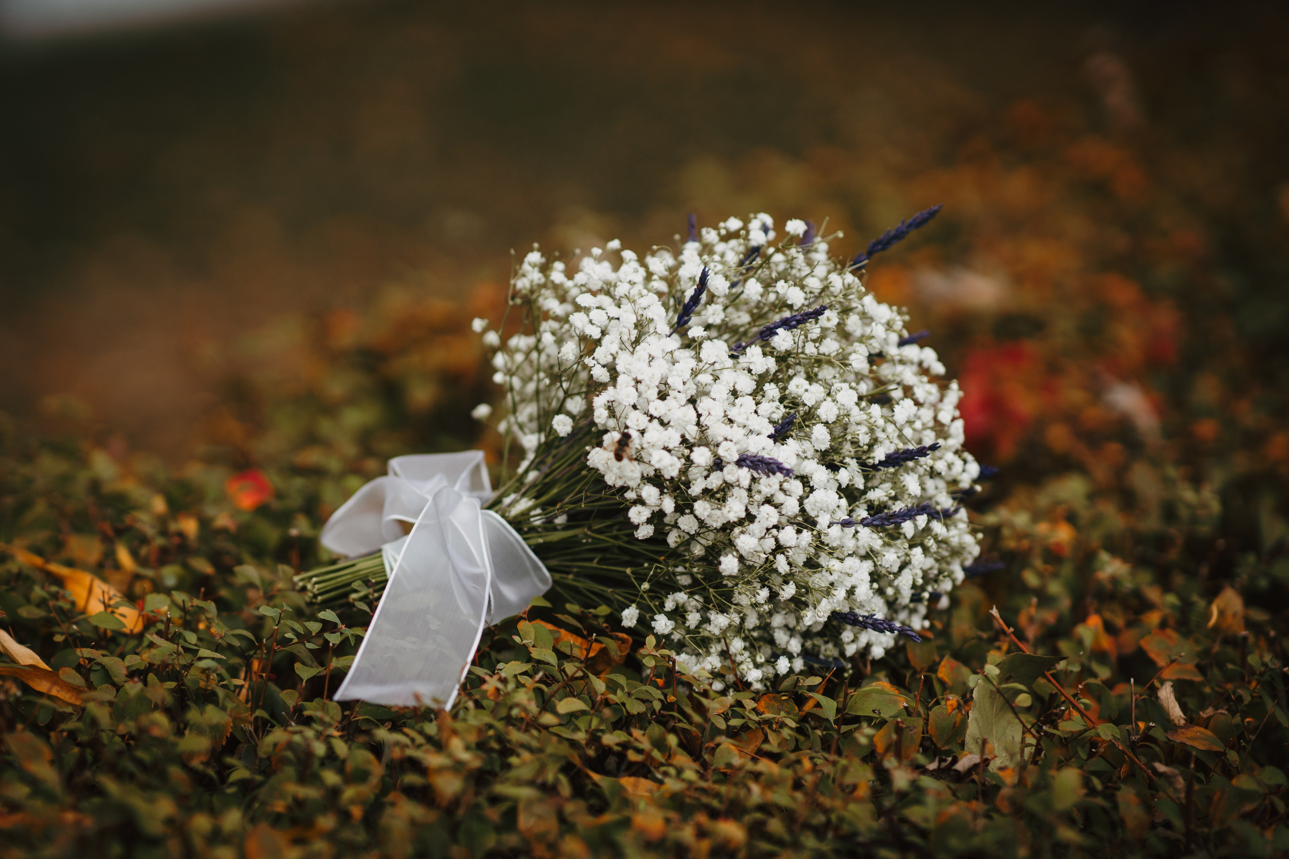 Alina & Ovidiu. Fotograf de eveniment din Buzău | Bogdan