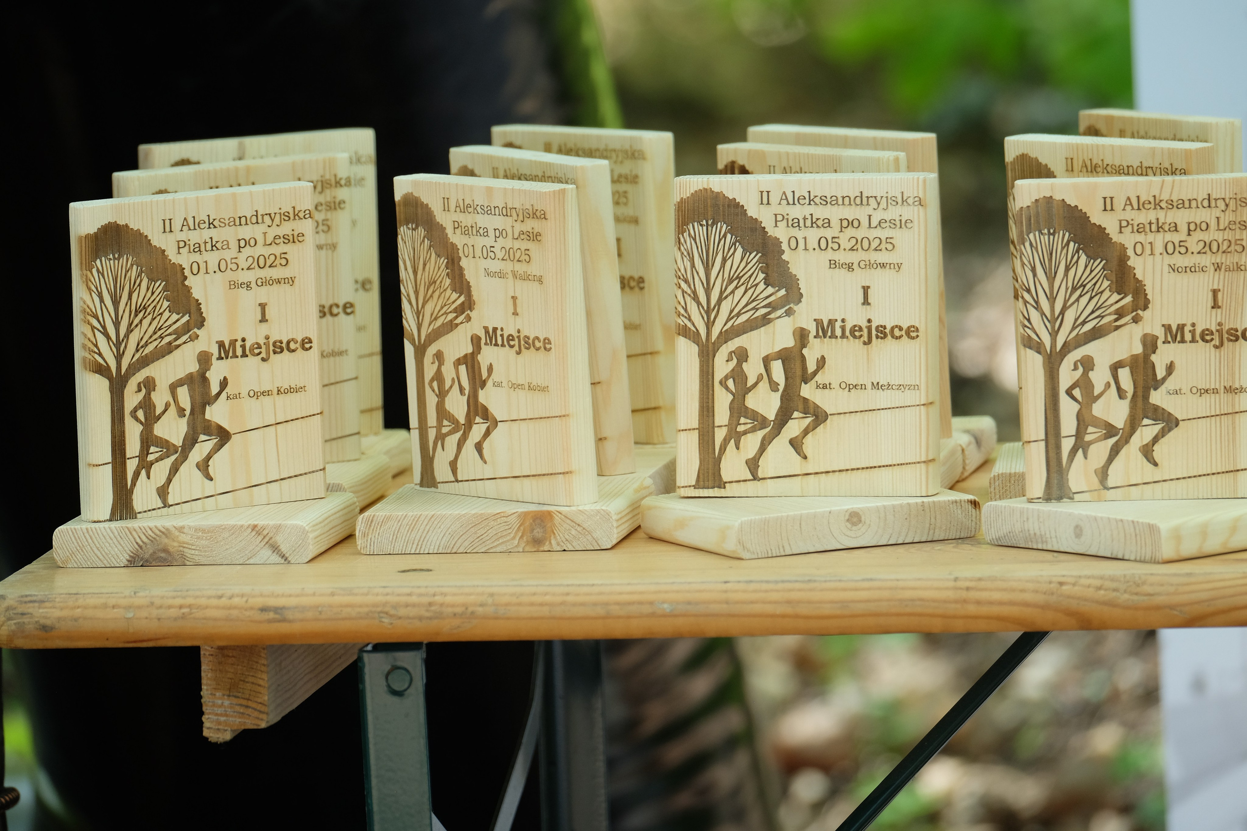 Aleksandryjska Piątka po lesie. Main