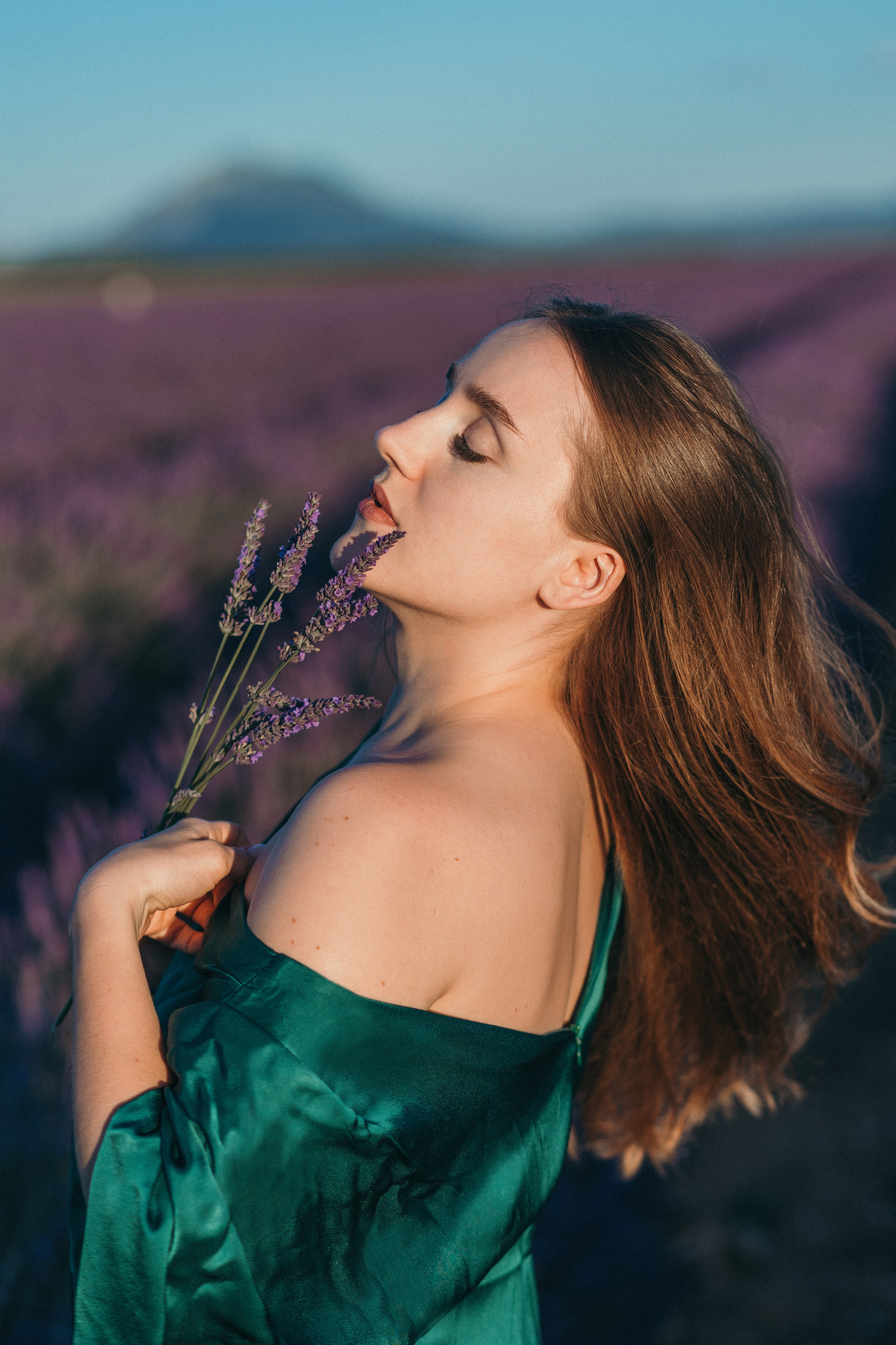 Lavendel. Kristina Podolyakova - Fotografin in Ludwigsburg