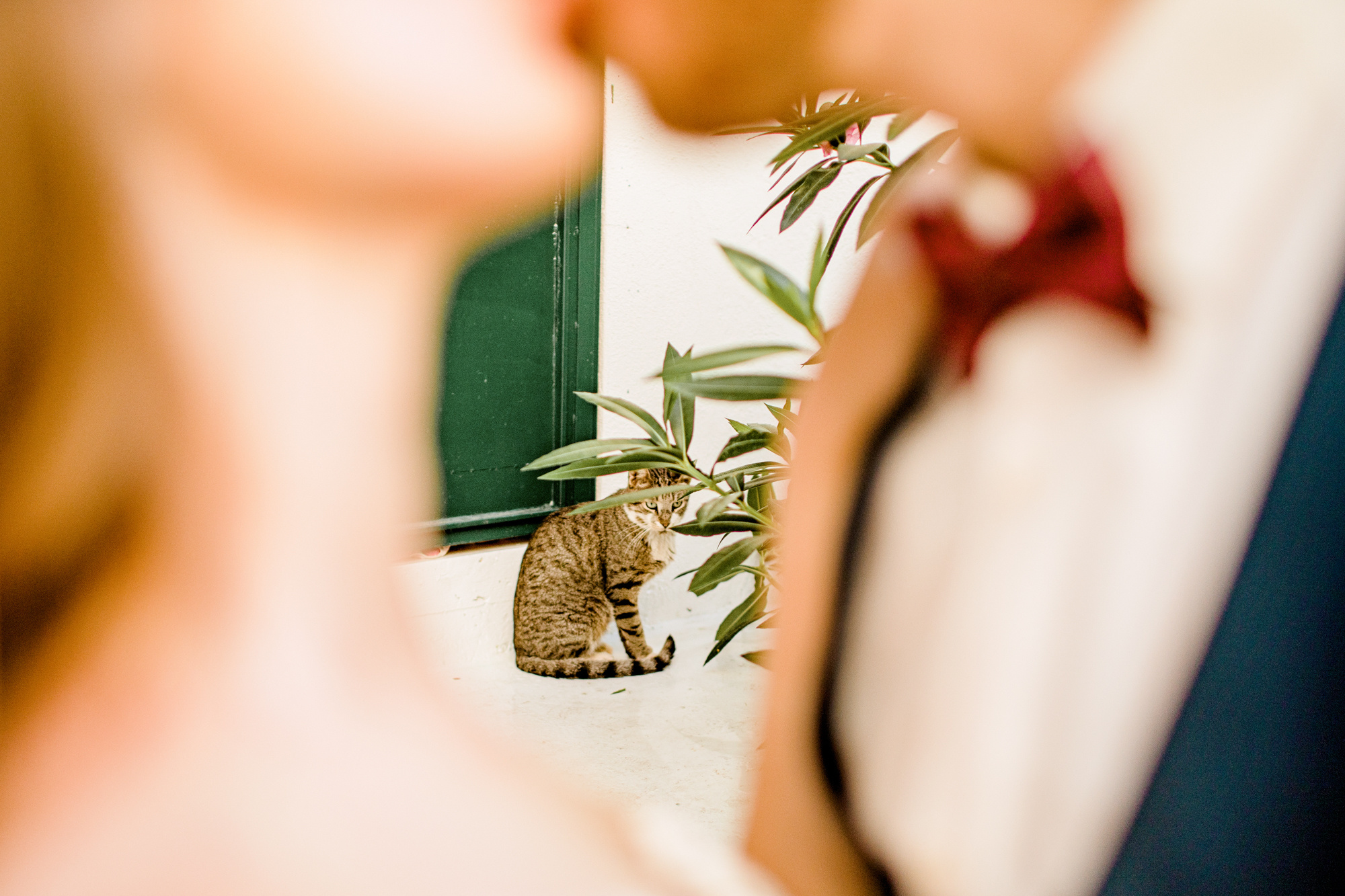 Wedding photo shoot in Marmaris old town. Julia Ganch I Fashion Wedding Photography I Cappadocia Turkey