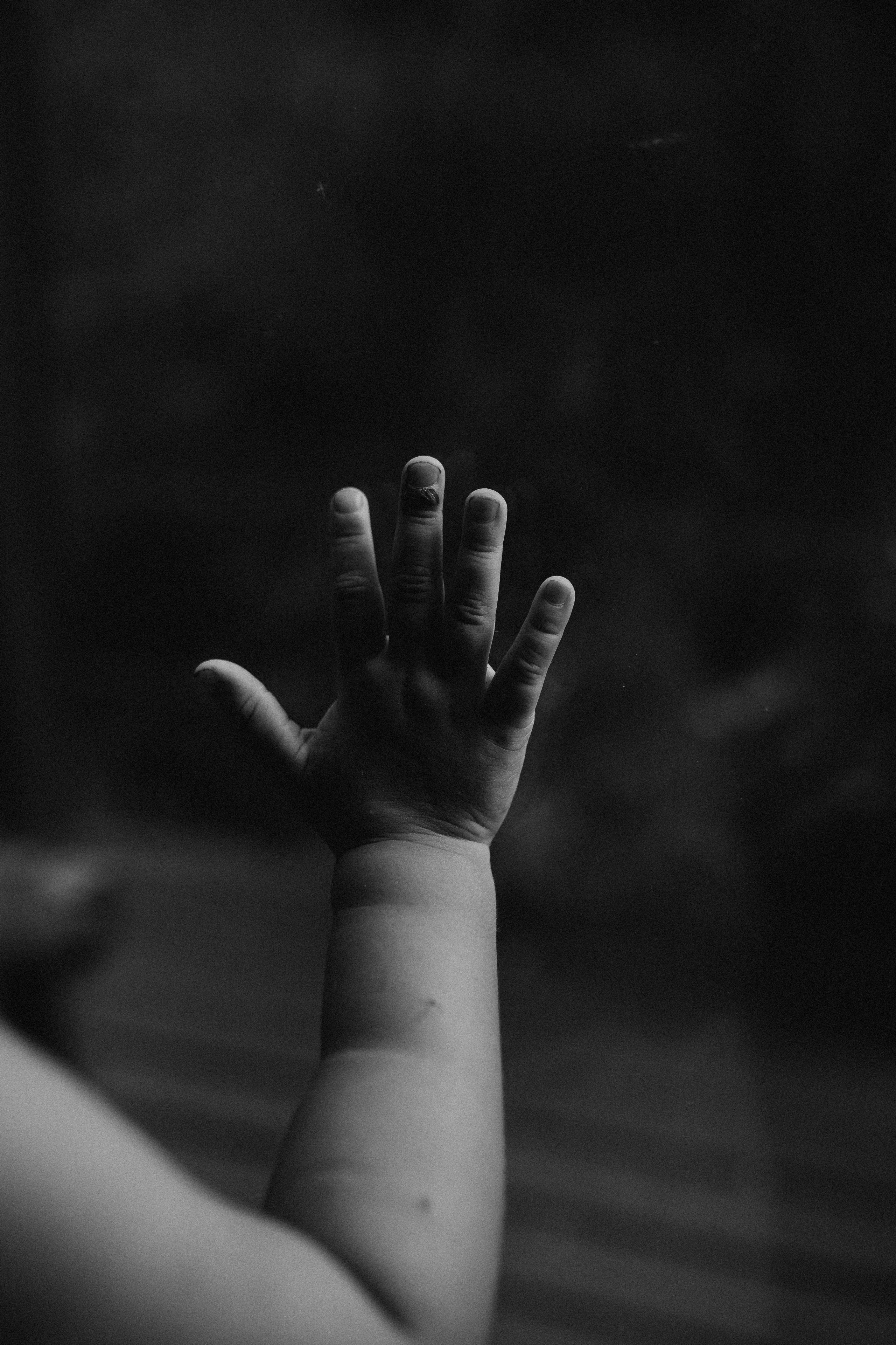 Обо мне. Fotografa de família e crianças em Florianópolis SC Daria Ermolaev