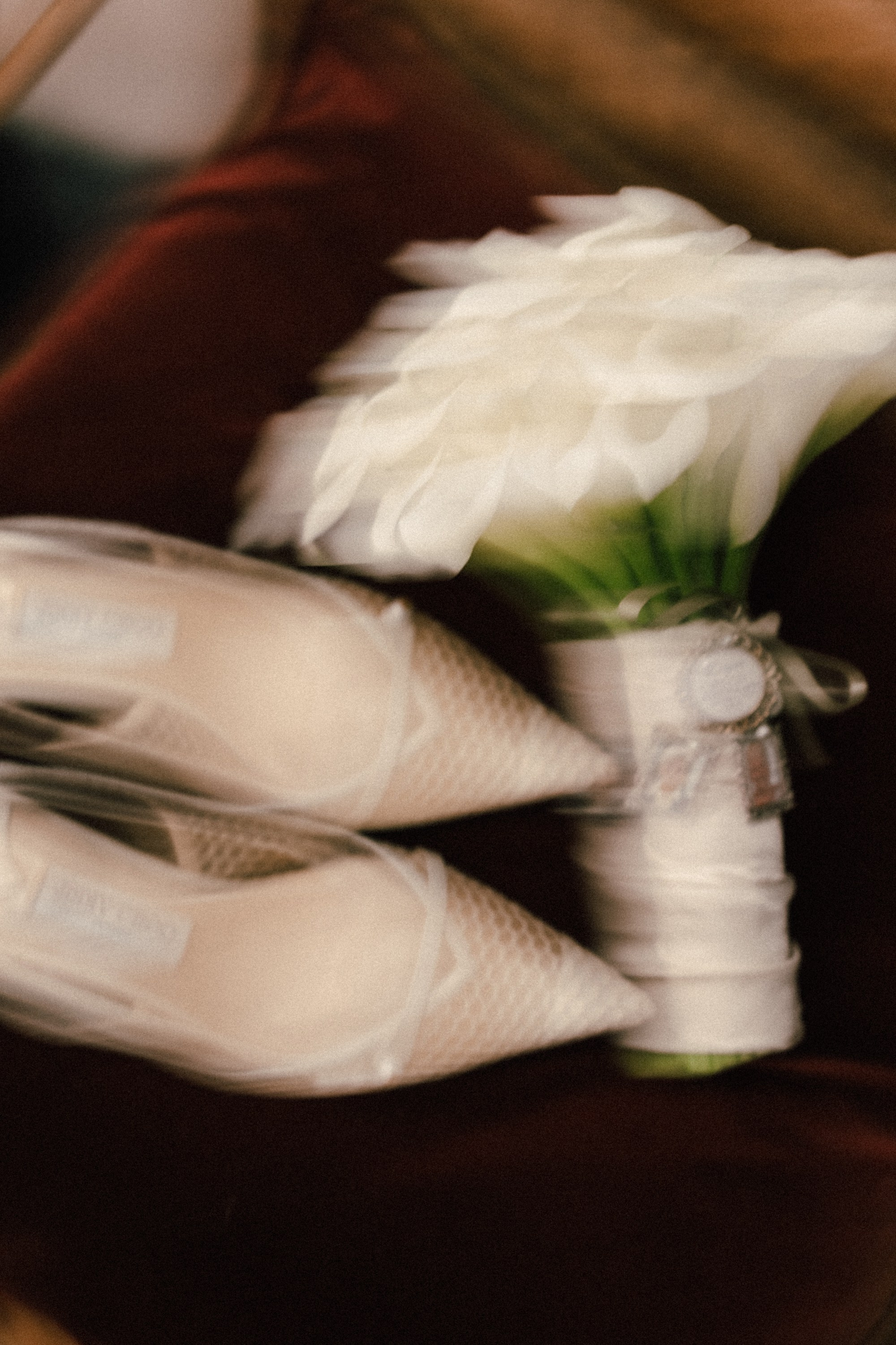 Dayna and Douglas. Wedding photographer and videographer New York | New Jersey