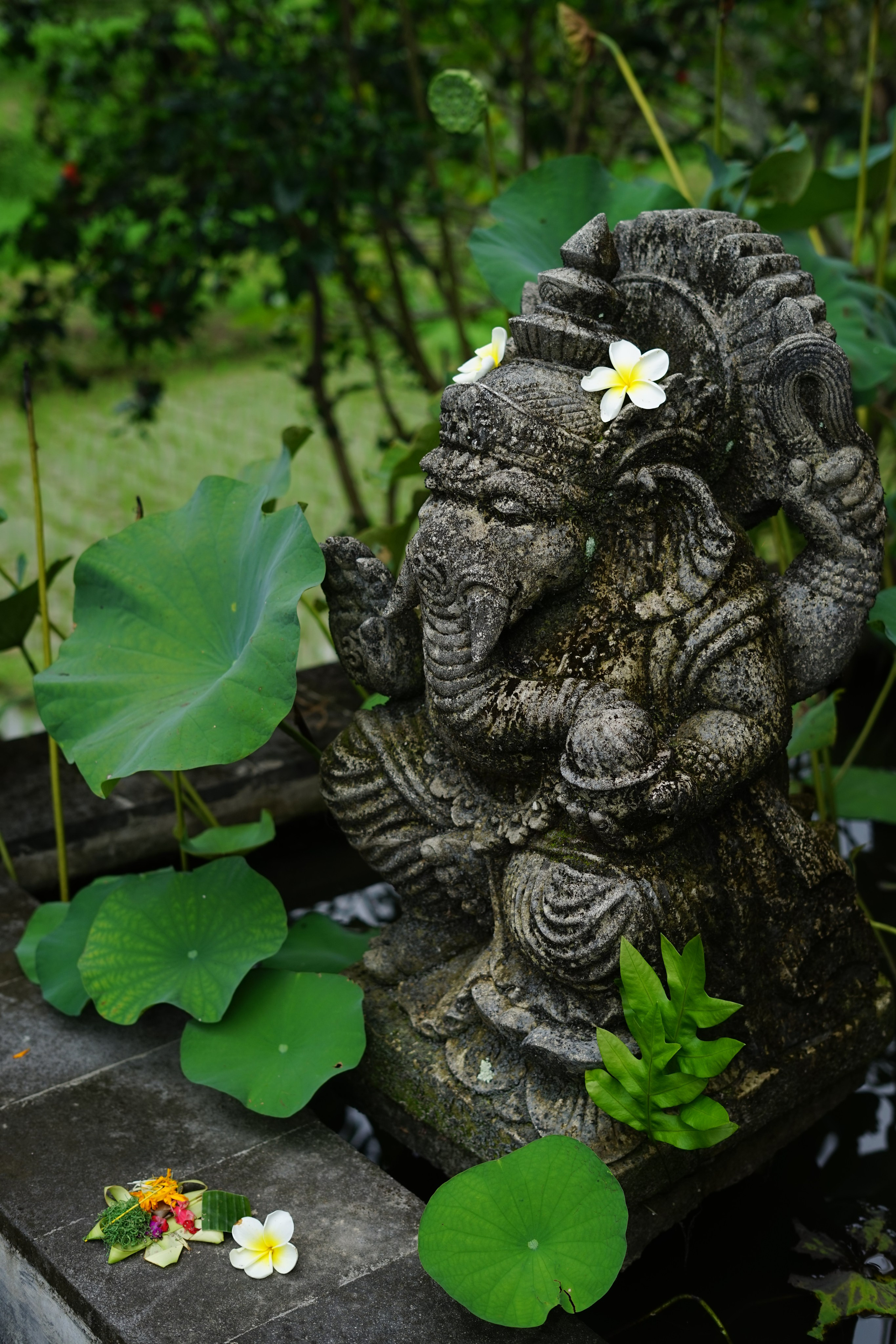 Bali. Hotel and travel photographer